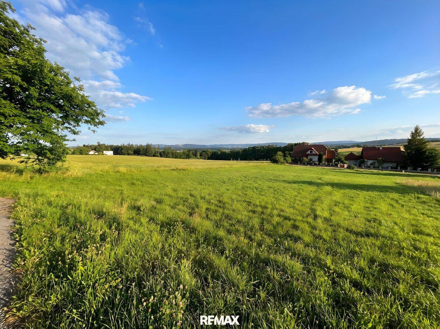 Großes grünes Feld mit Bäumen am linken Rand und Häusern in der Ferne unter einem bewölkten Himmel.