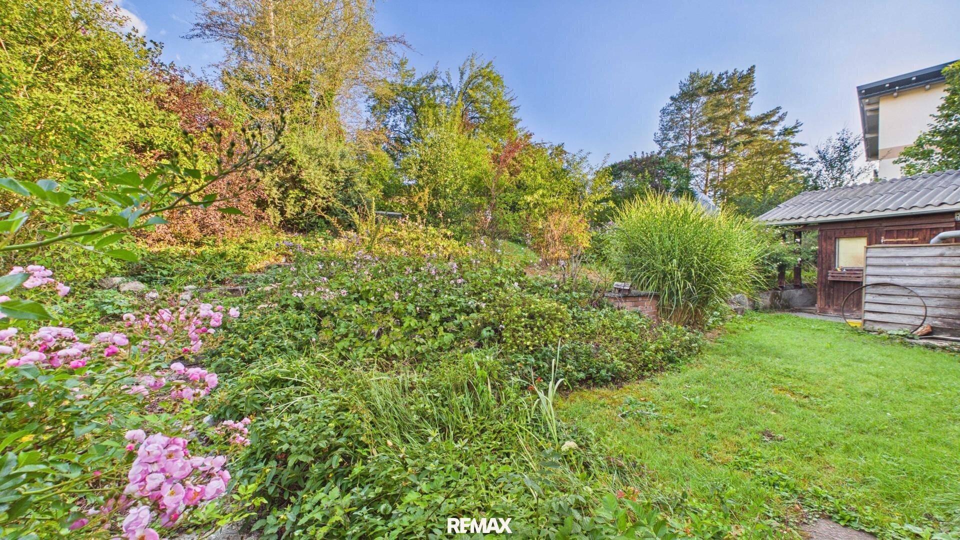 Üppiger, grüner Garten mit verschiedenen Pflanzen und Sträuchern unter blauem Himmel.