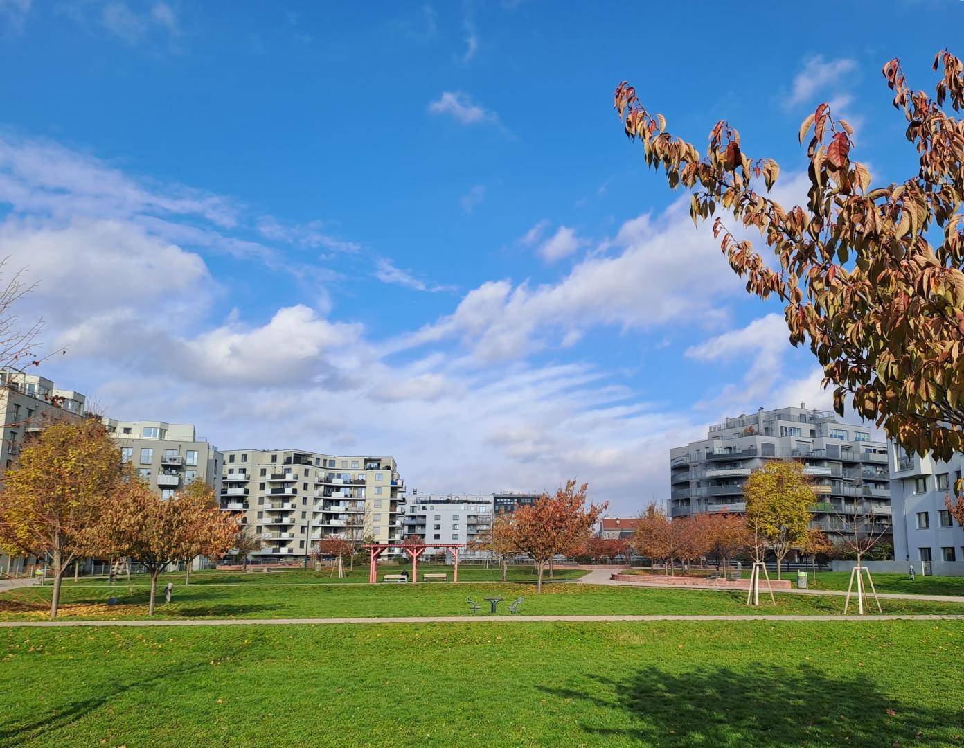 nahe Kirschblütenpark