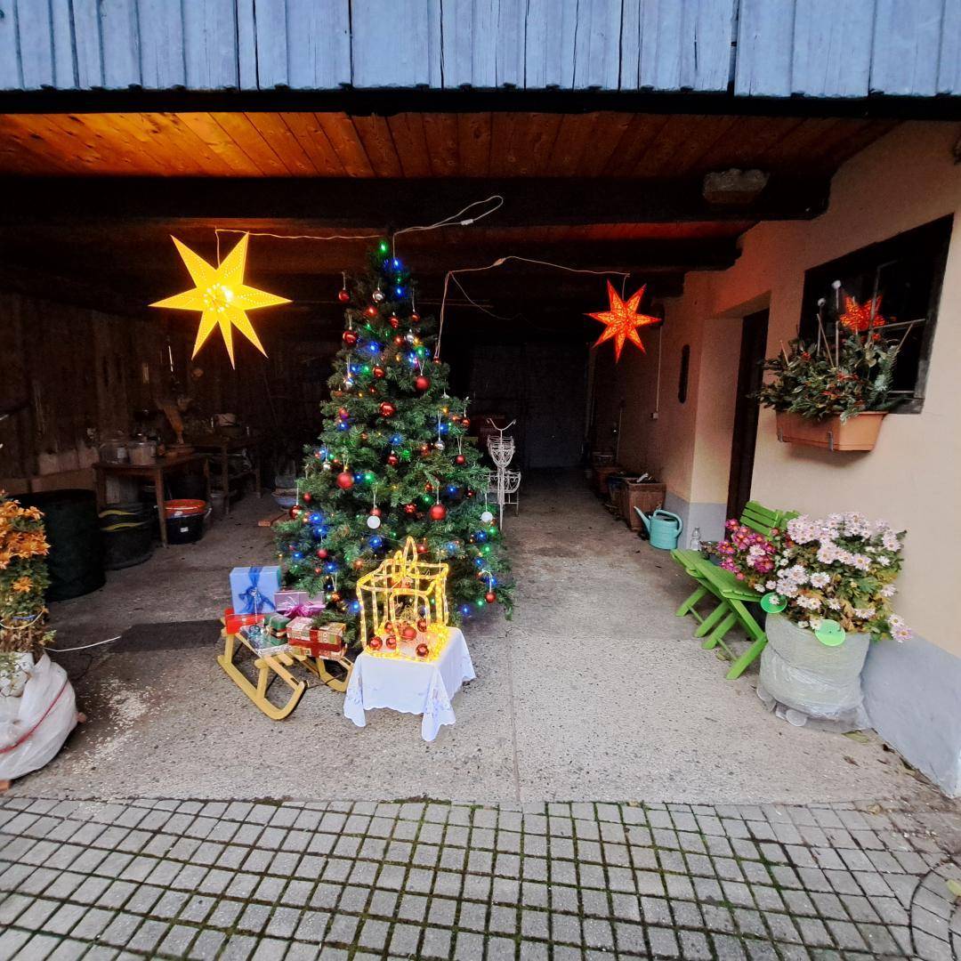 Durchgang in den Garten oder Zweite Garage