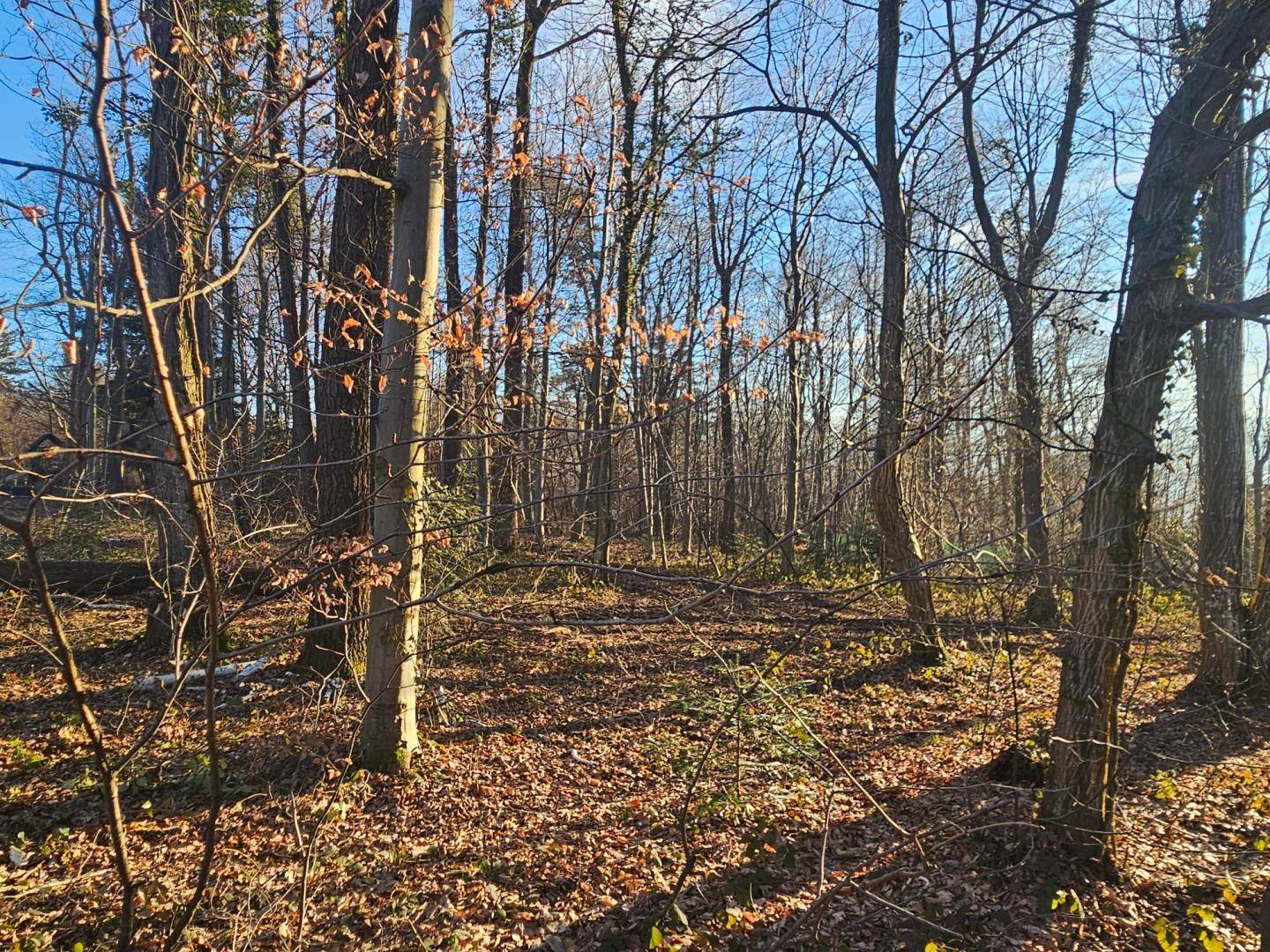 Grundstück Altlengbach