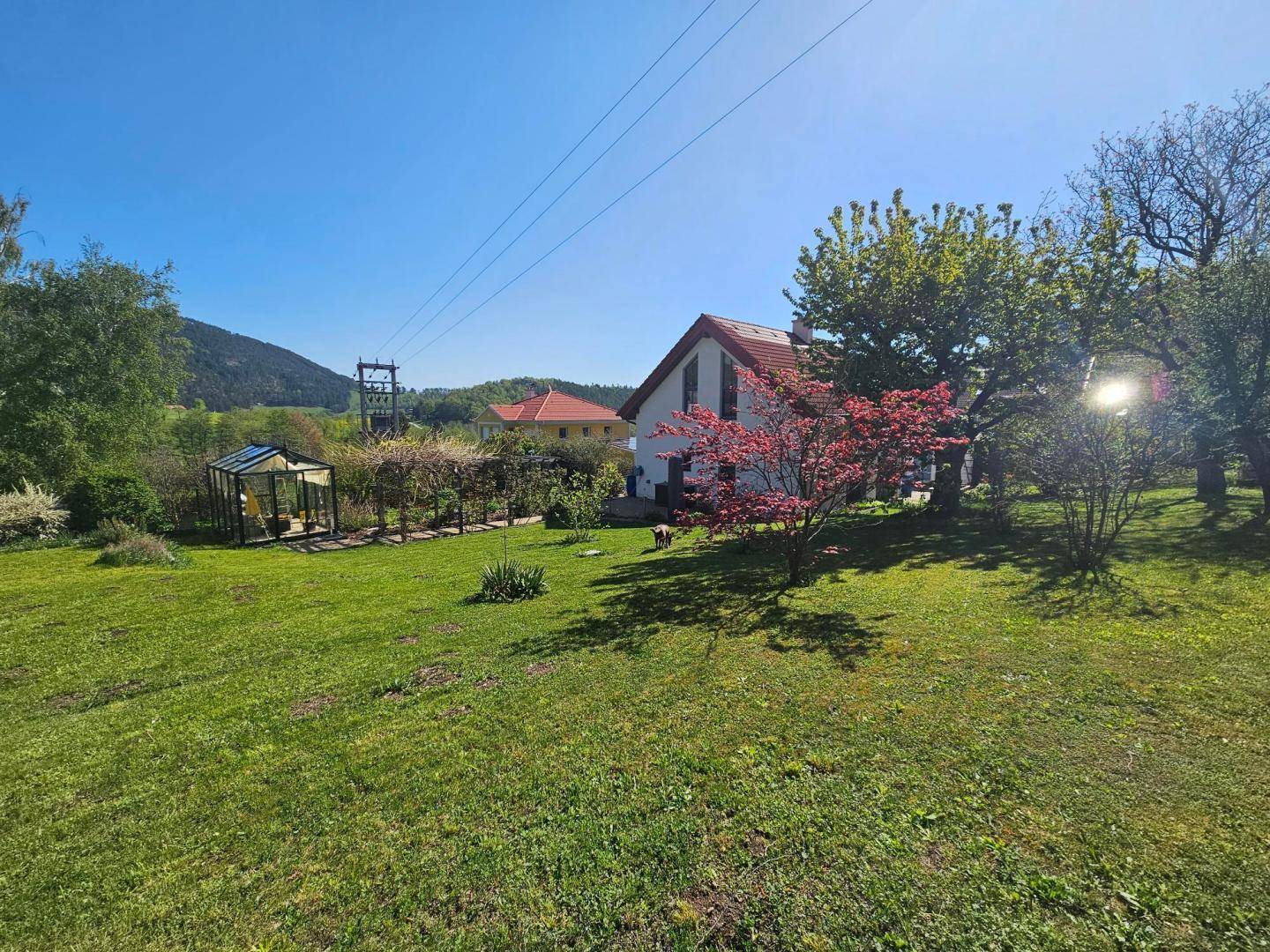 Garten