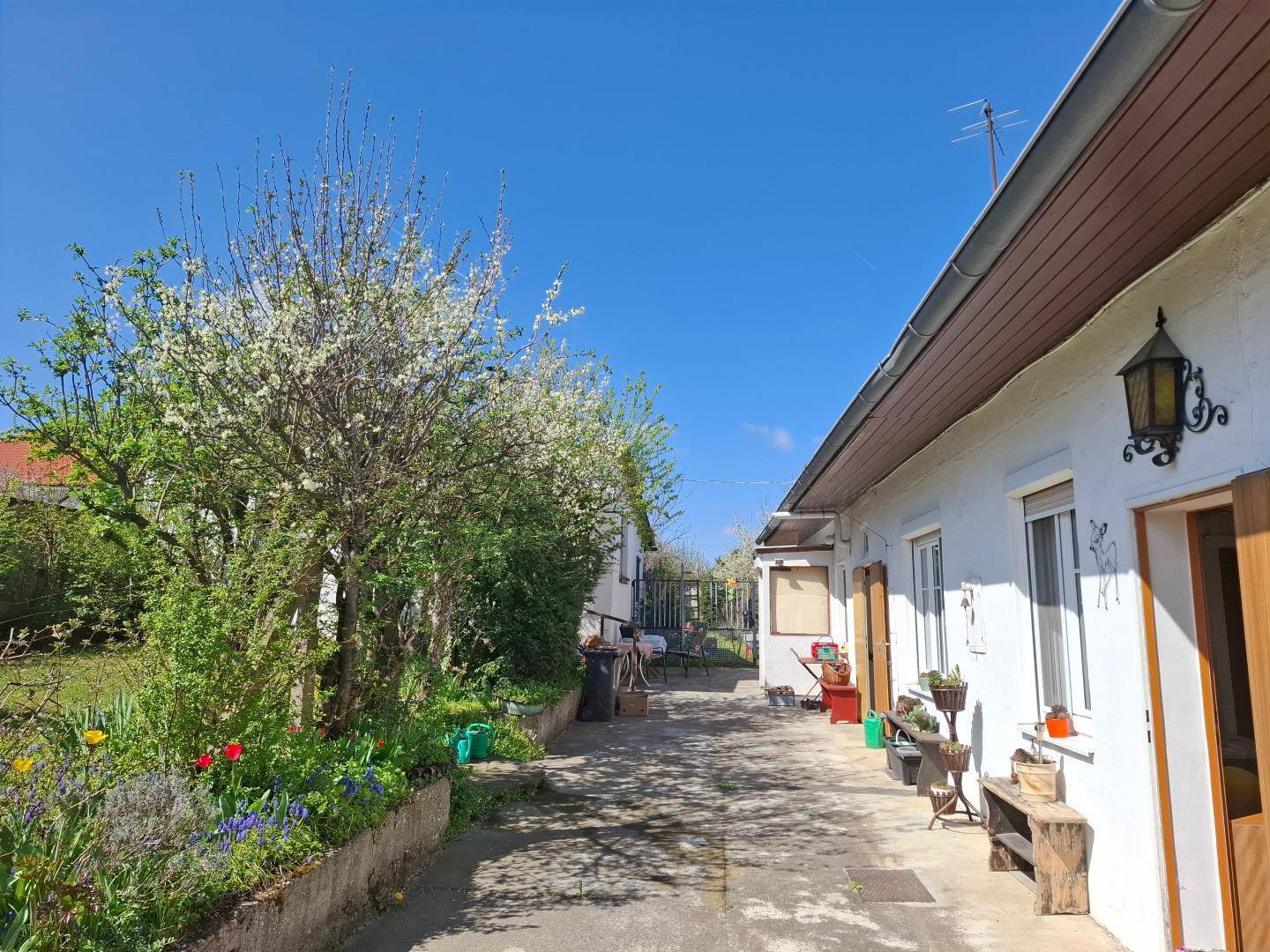 Haupthaus