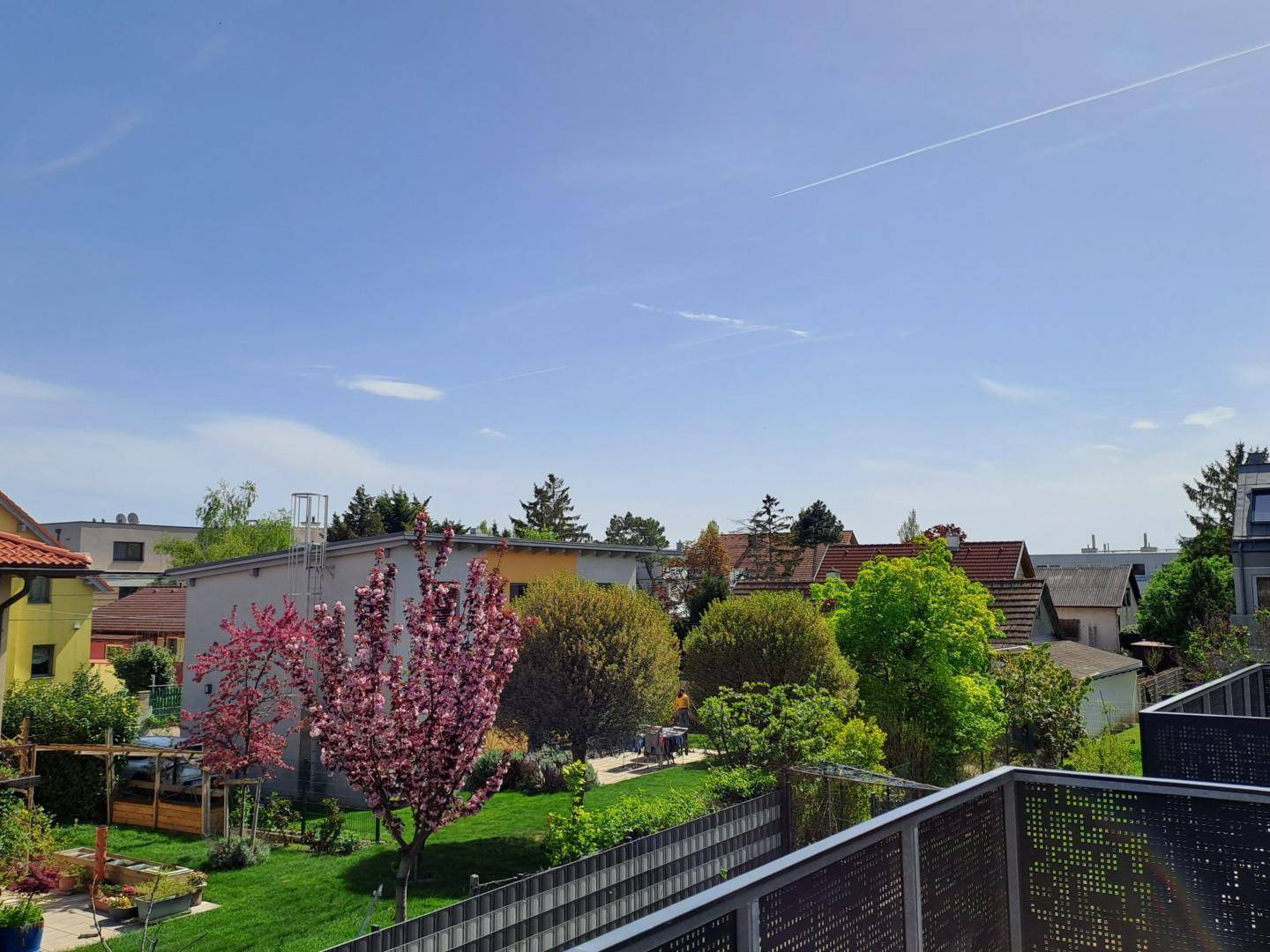 mit Grünblick