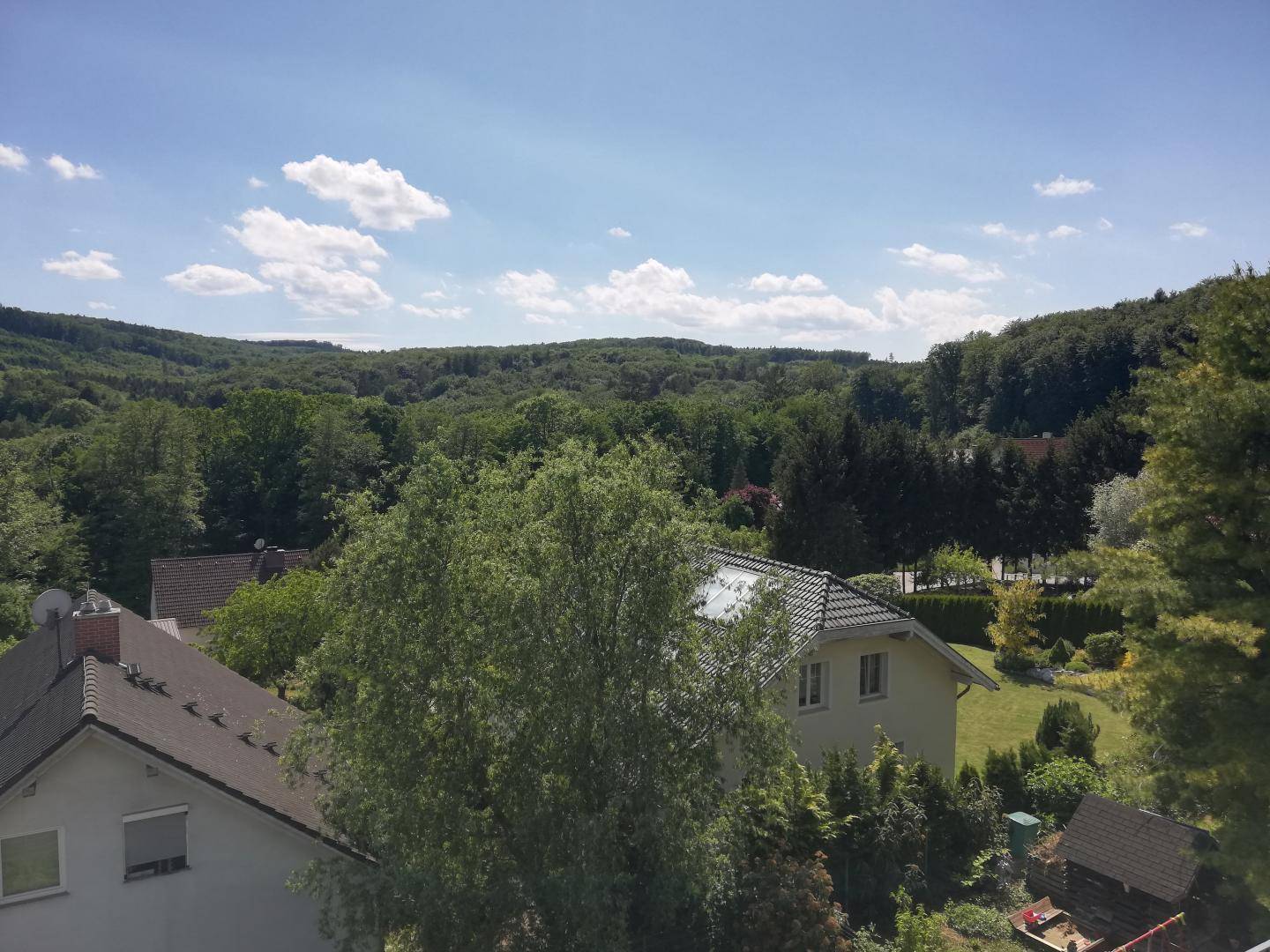 Ausblick