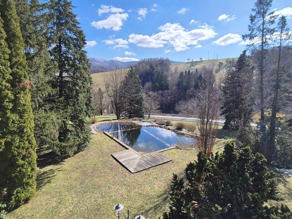 Schwimmteich