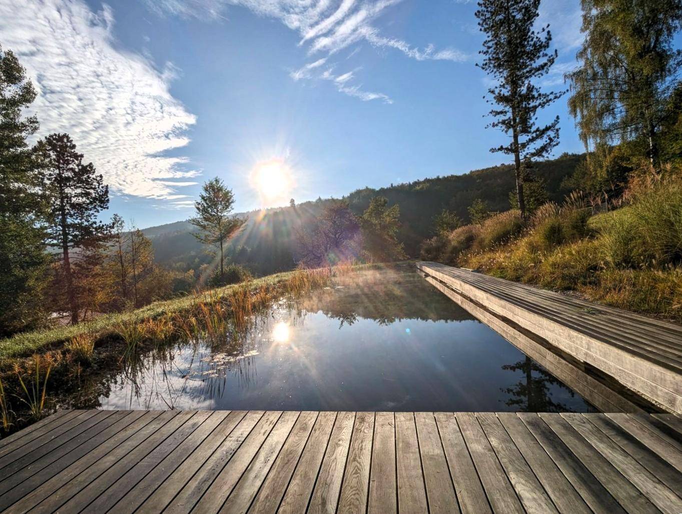 Natürlicher Schwimmteich mit Holzsteg und sonnigem Blick auf die umliegende Hügellandschaft.