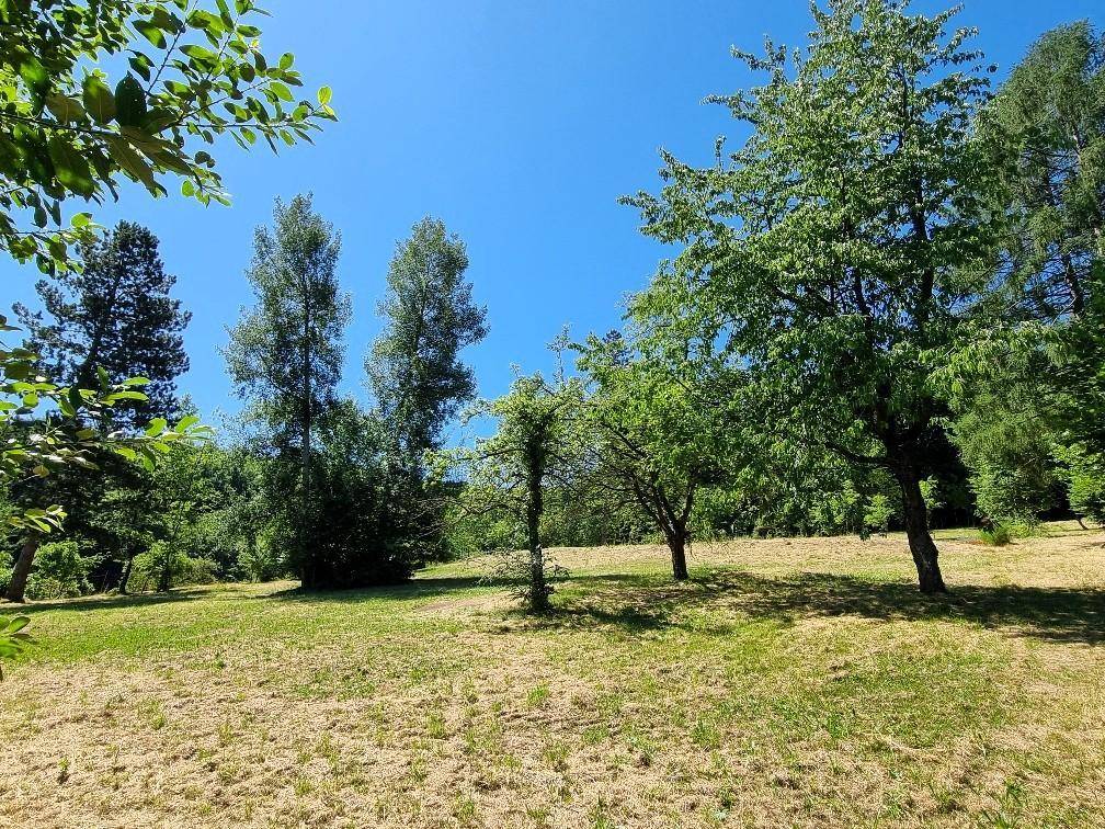 Großer Gartenbereich mit Rasenfläche und verschiedenen Bäumen unter blauem Himmel.