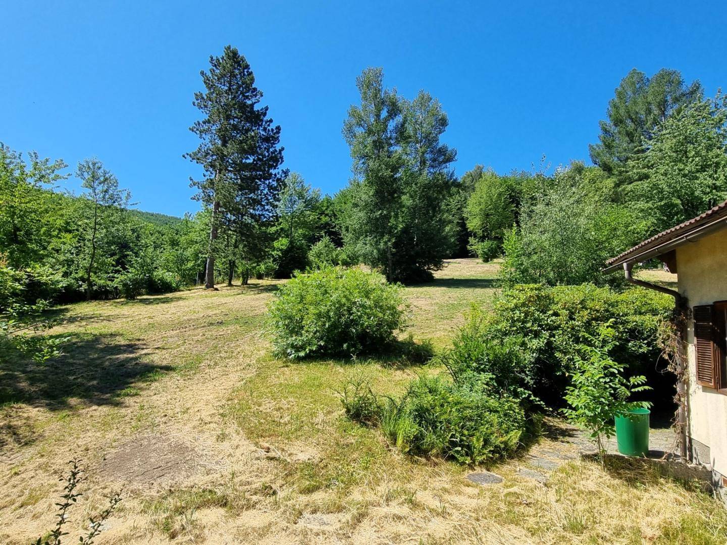 Seitlicher Gartenbereich des Hauses mit Sträuchern und Blick auf die bewaldeten Hügel.