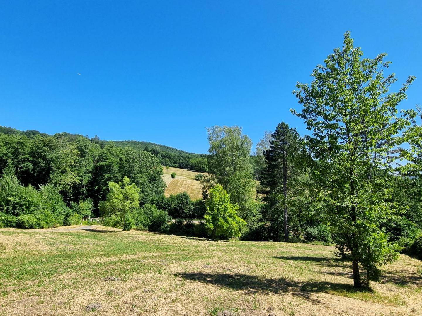 Offene Wiesenfläche mit einzelnen Bäumen und bewaldeten Hügeln unter strahlend blauem Himmel.