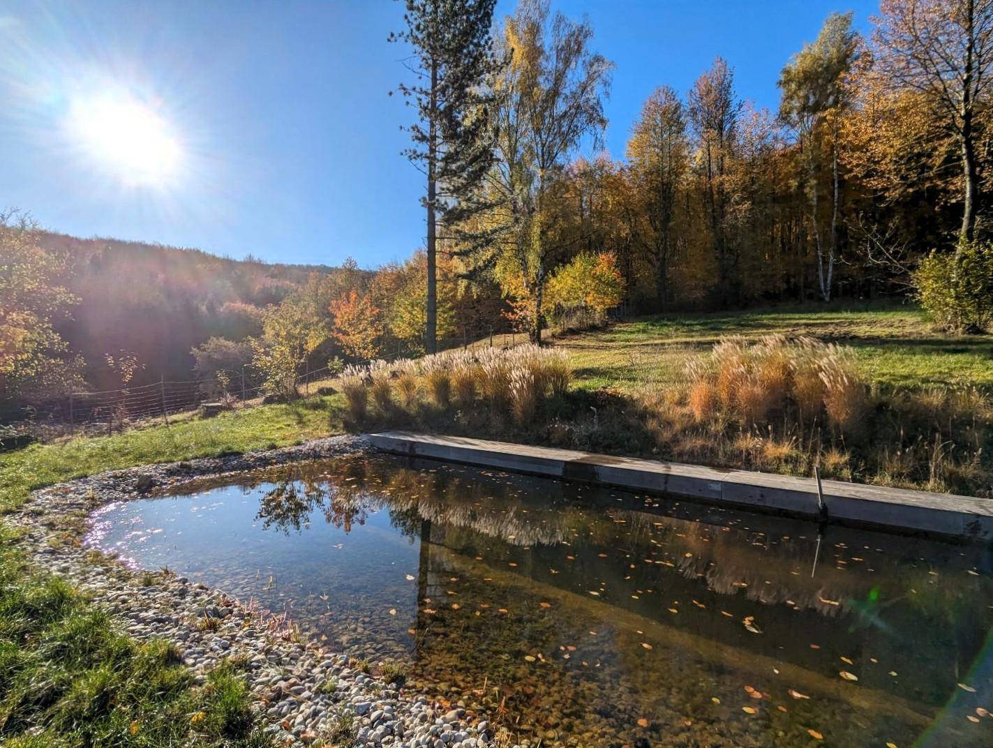 Natürlicher Teich im Gartenbereich, umgeben von Bäumen und herbstlicher Vegetation unter blauem Himmel.
