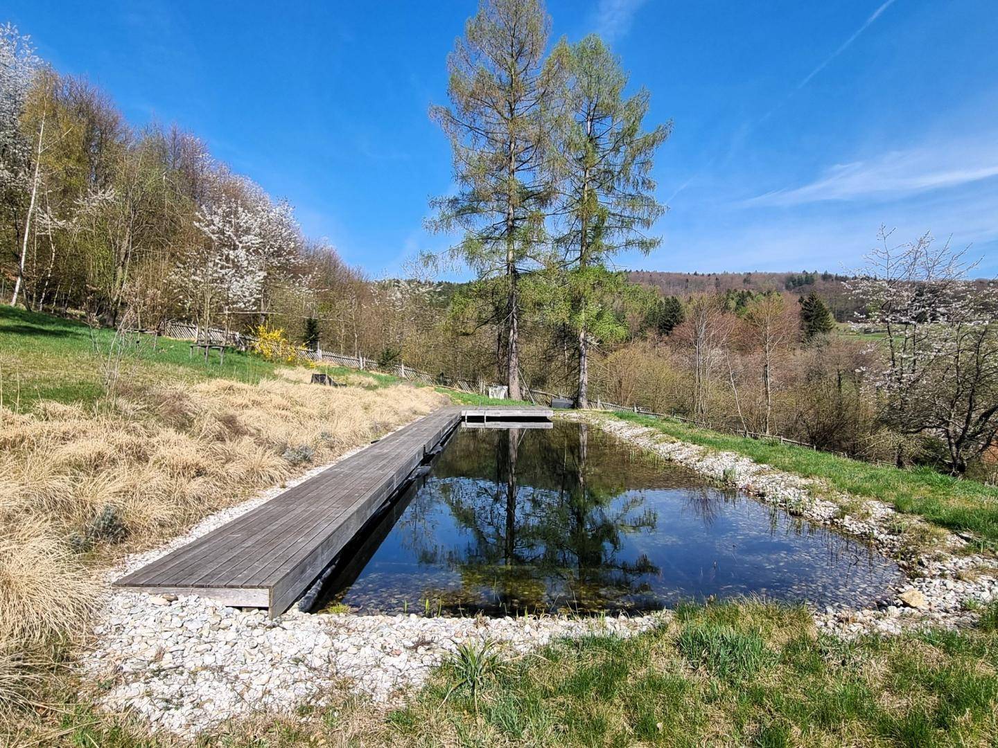 Langer natürlicher Schwimmteich mit Holzsteg, umgeben von Wiesen und Bäumen unter blauem Himmel.