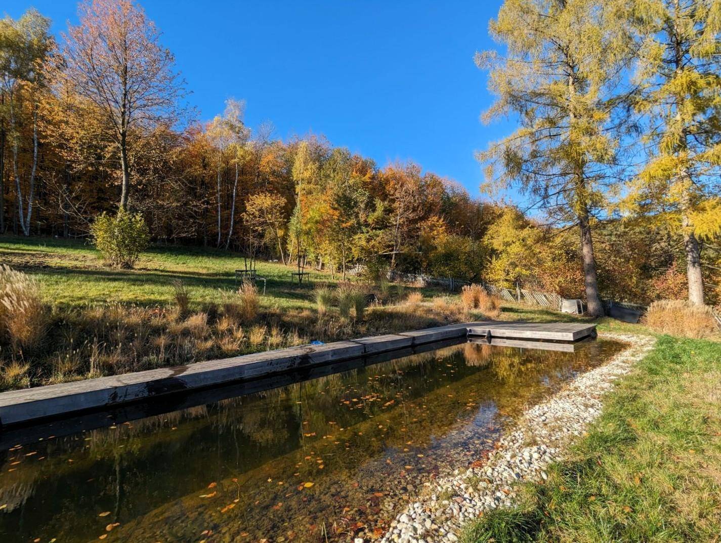 Idyllischer Teich im herbstlichen Garten, umgeben von bunten Bäumen und natürlicher Landschaft.