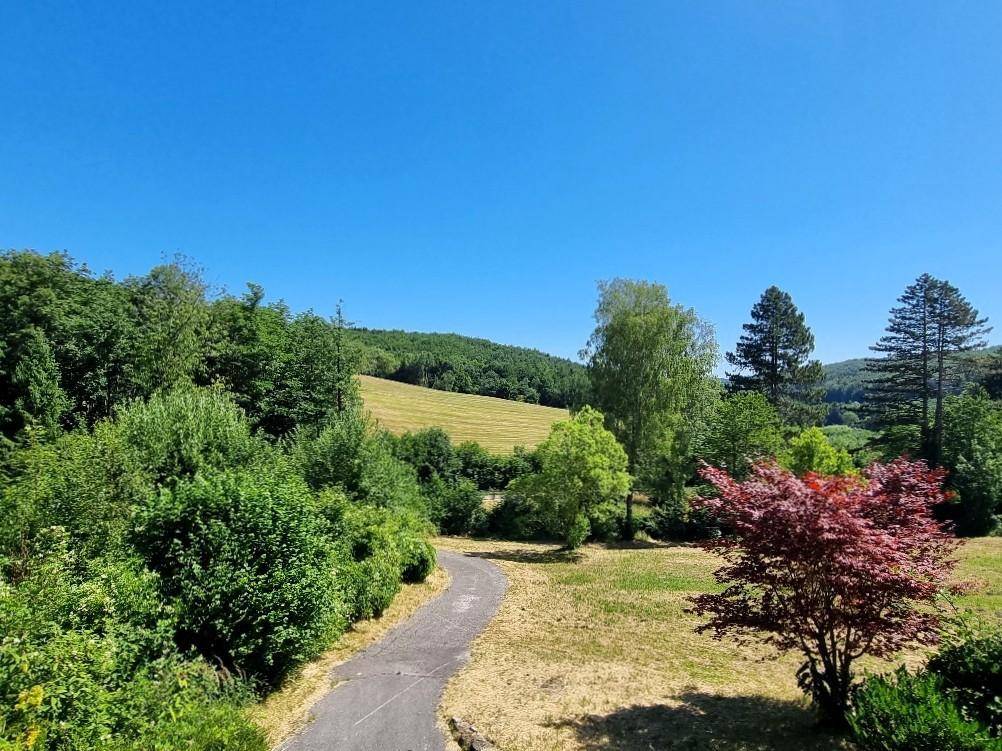 Geschwungener Weg durch eine weite Wiesenlandschaft mit Bäumen und Hügeln im Hintergrund.