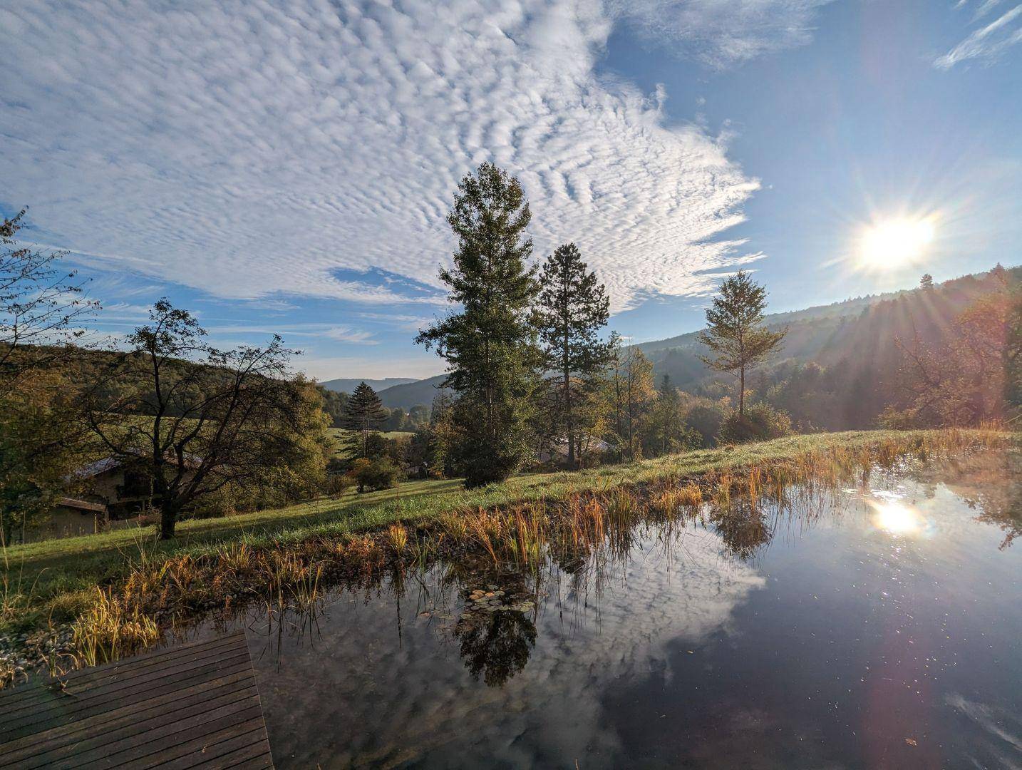 Idyllischer Schwimmteich mit Holzsteg und weitem Blick auf die bewaldeten Hügel bei Sonnenaufgang.