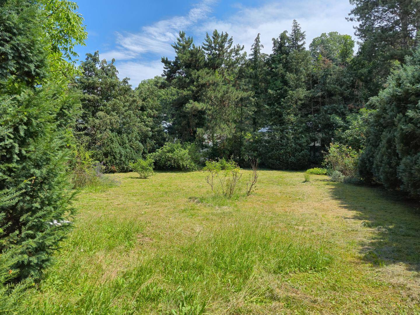 Garten Foto 1