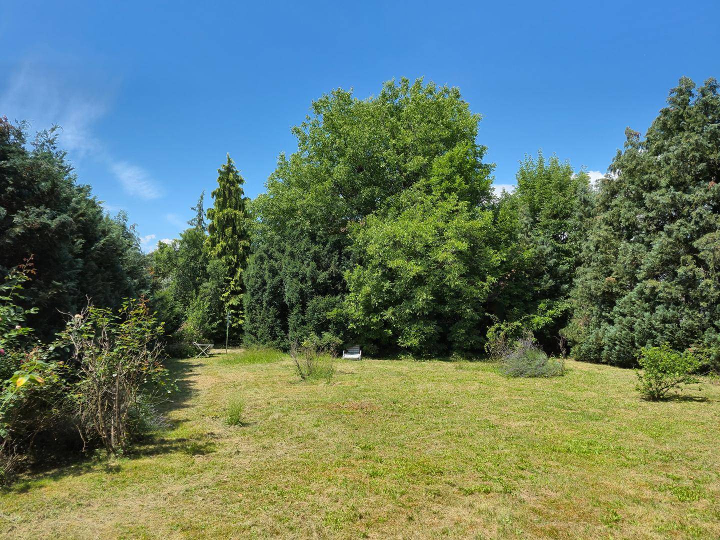 Garten Foto 3