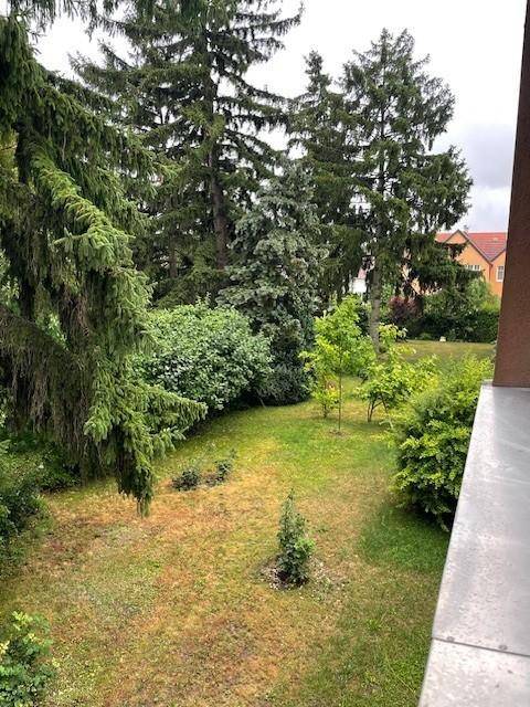 Ausblick