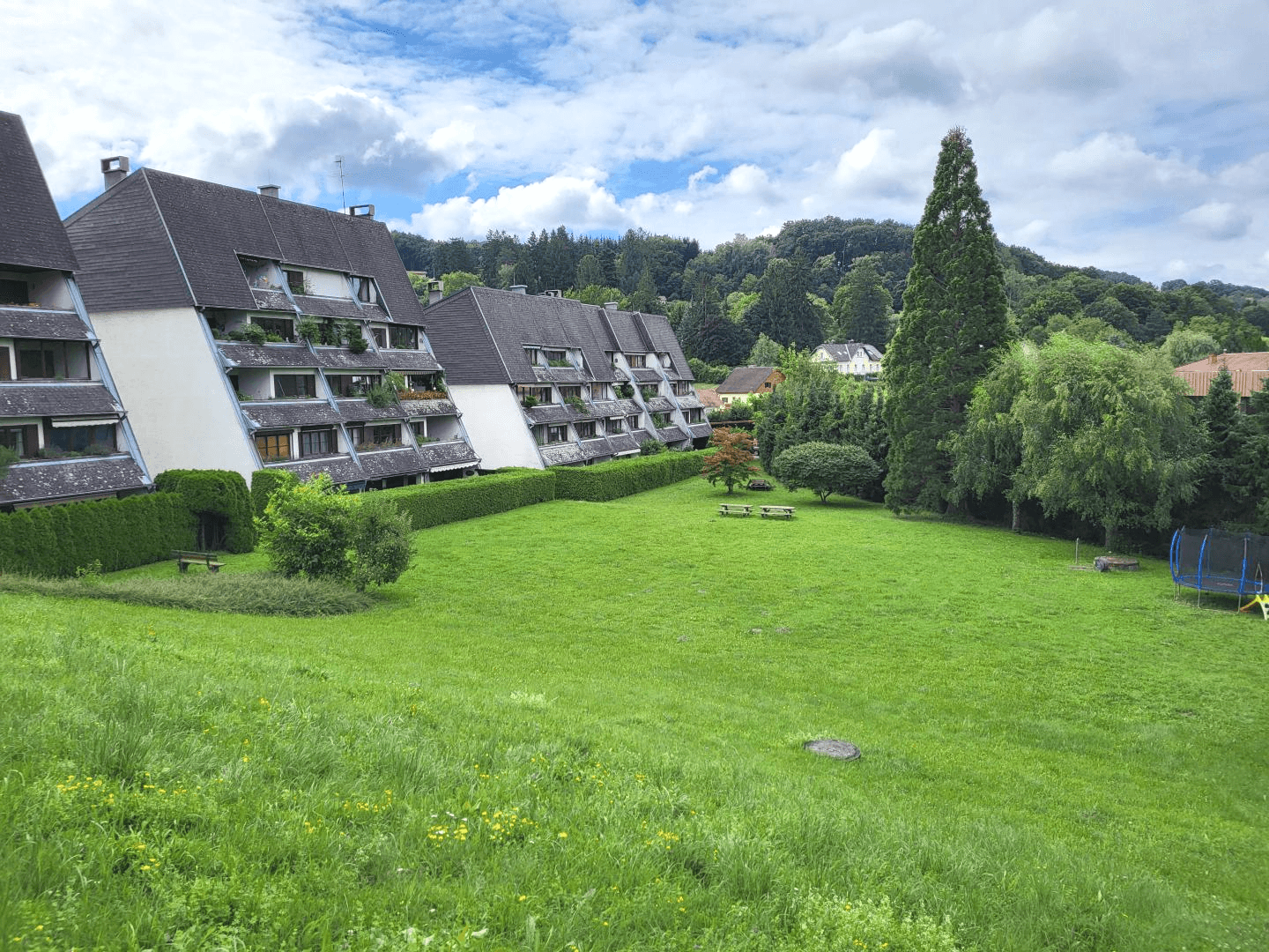 Grünfläche 1