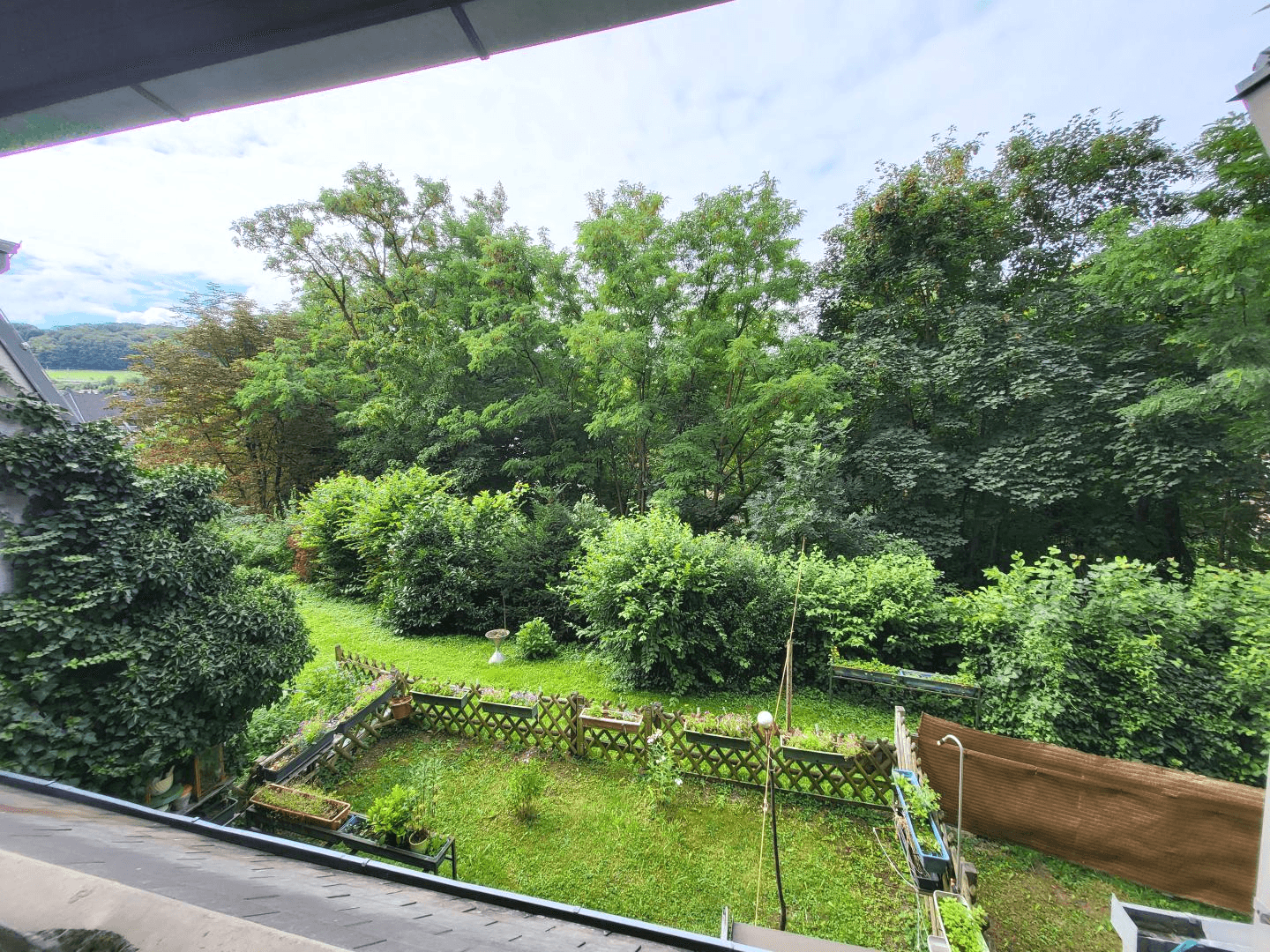 Ausblick