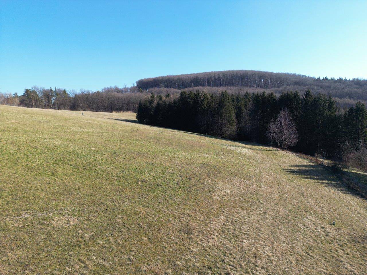 Winteraufnahme / Februar