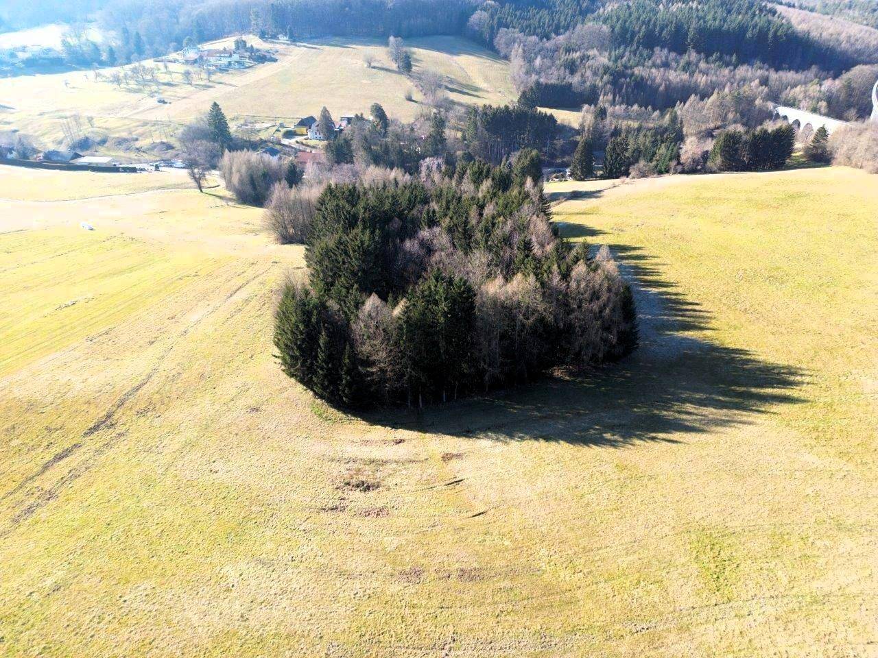 Winteraufnahme / Februar