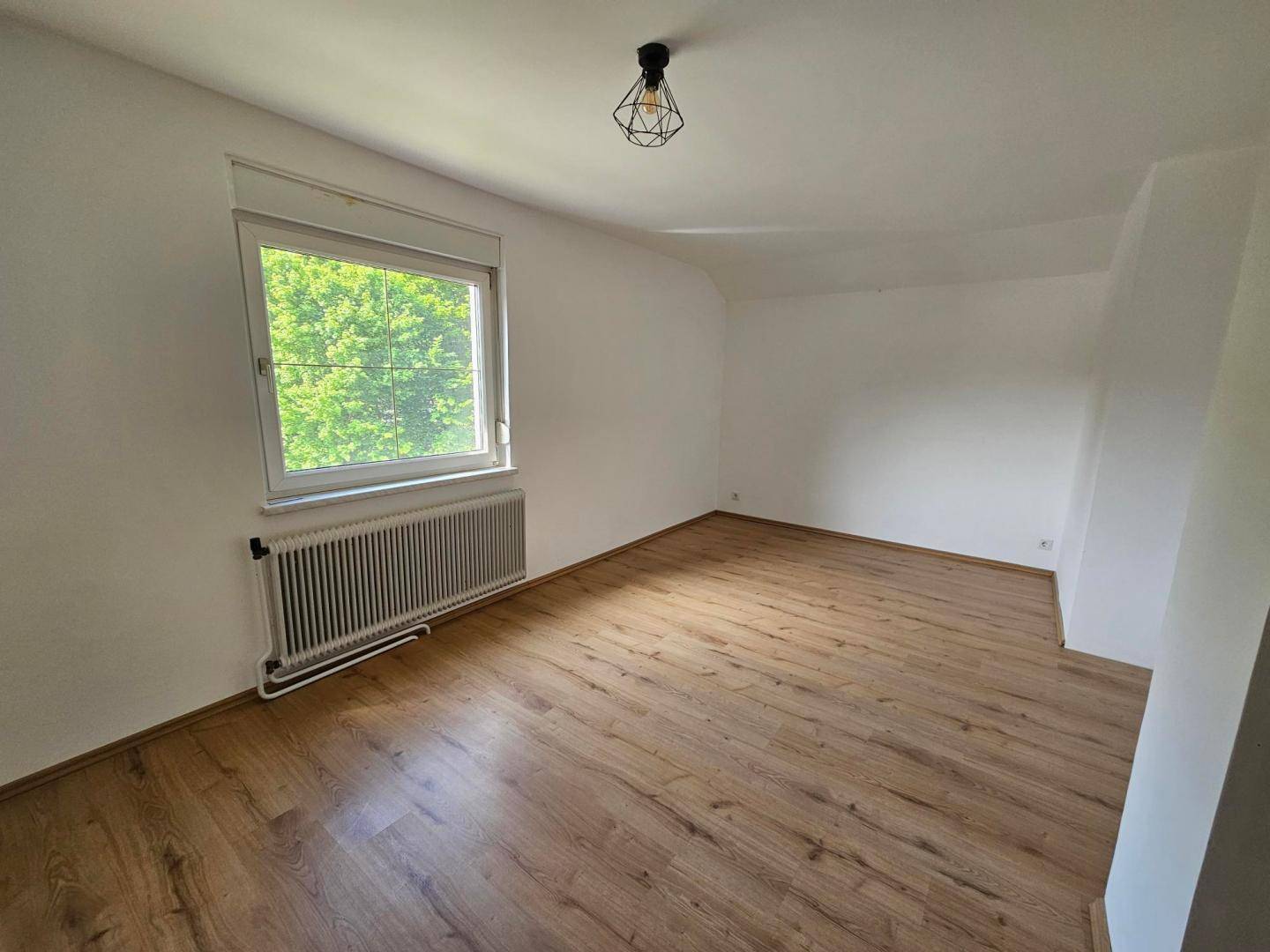 Zimmer DG