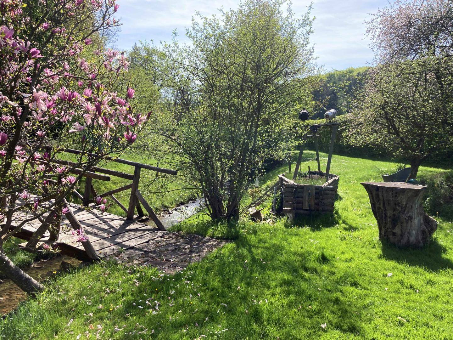 Garten (2)