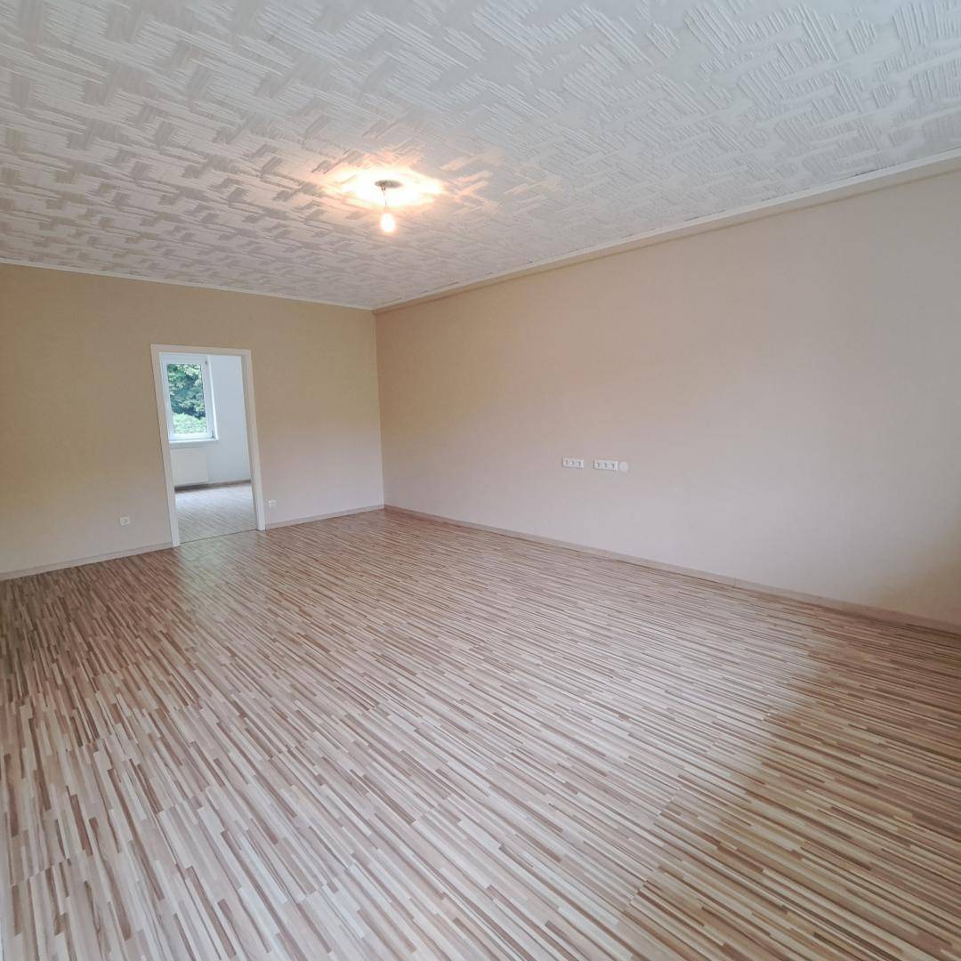 Wohn-Esszimmer