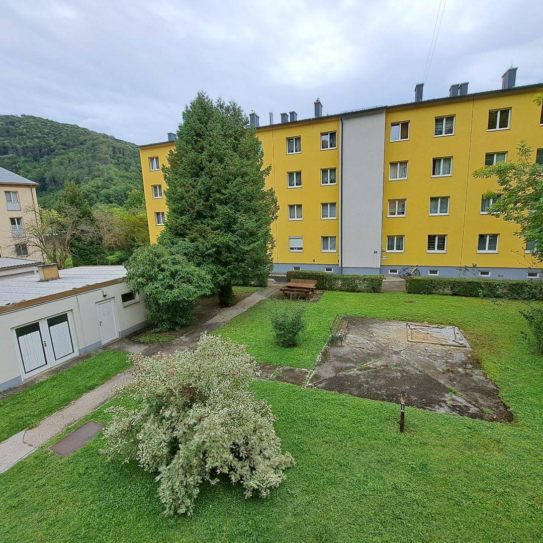 Gemeinschaftsgarten mit Rasenfläche, hohen Bäumen und einem kleinen Spielbereich.