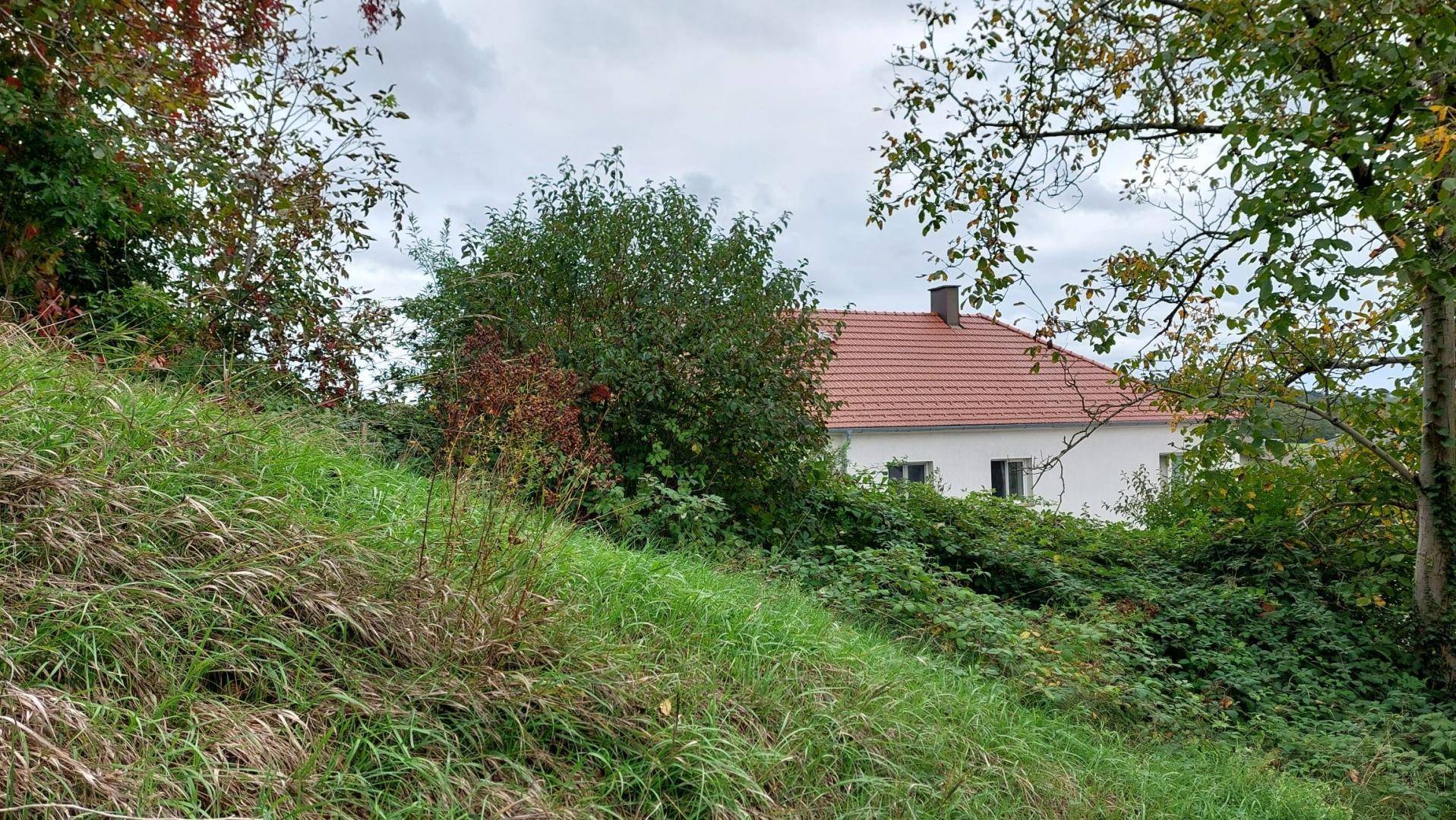 Ein Haus mit rotem Ziegeldach, umgeben von grünen Bäumen und Sträuchern auf einem leicht abfallenden Gelände.