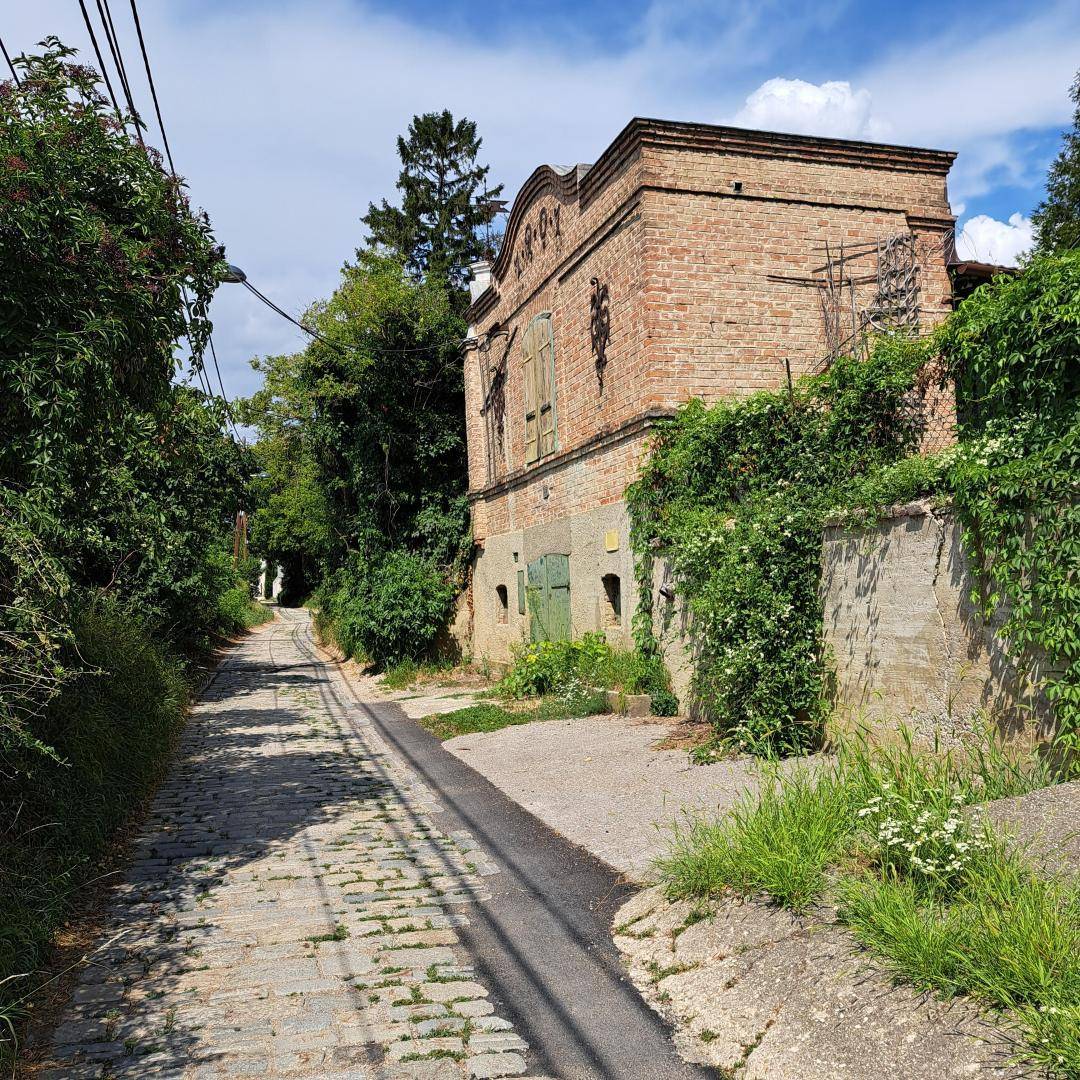 Altes Backsteingebäude mit Efeu bewachsen an einem gepflasterten Weg in ländlicher Umgebung.