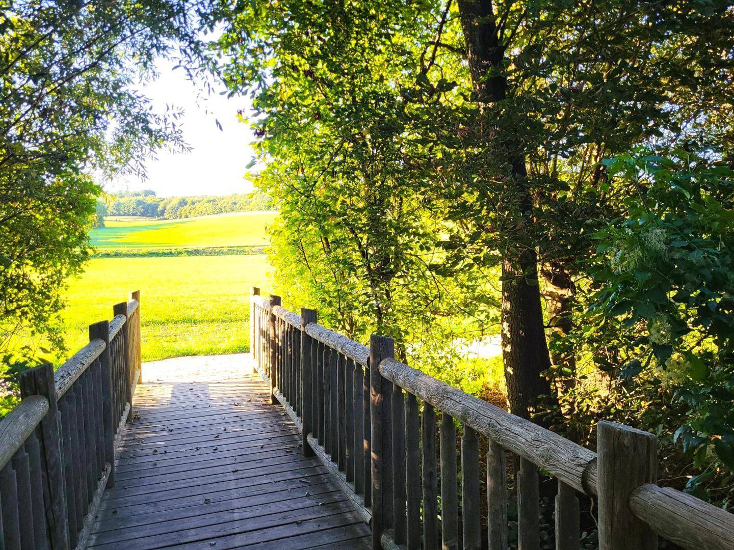 Hölzerne Brücke führt über eine Senke zu einem weiten, sonnigen Feld mit grüner Landschaft.