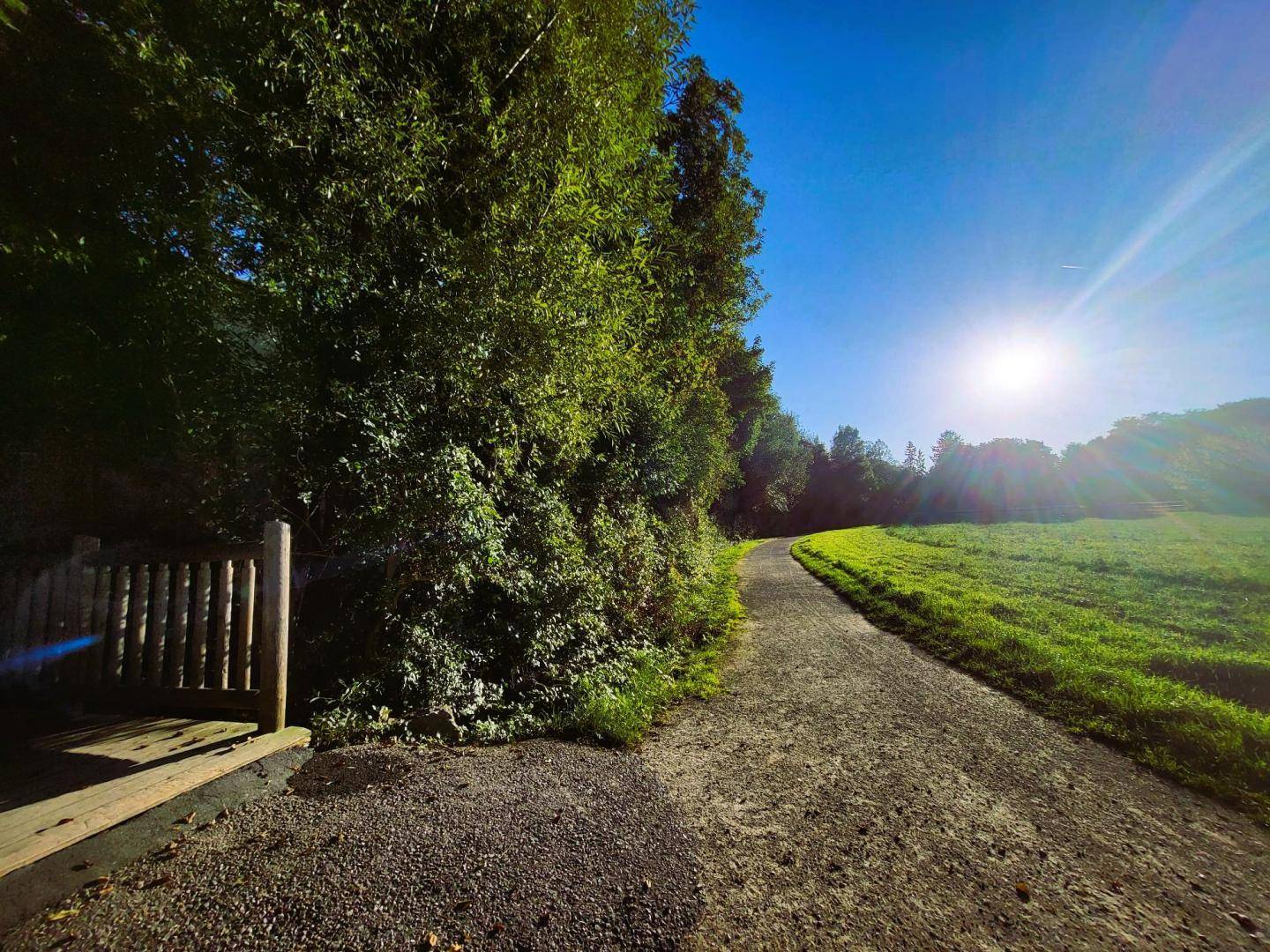 Sonniger Feldweg neben einem grünen Feld und Bäumen unter blauem Himmel, ideal zum Spazierengehen.