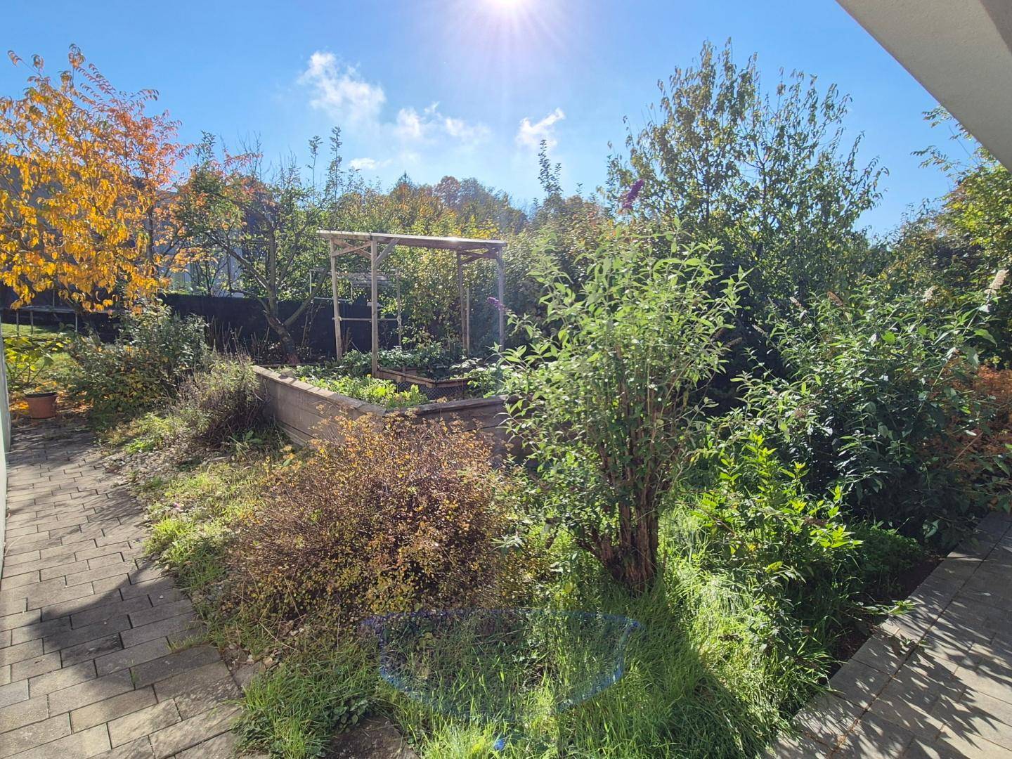 Sonniger Garten mit vielfältiger Bepflanzung, gepflastertem Weg und Hochbeeten.