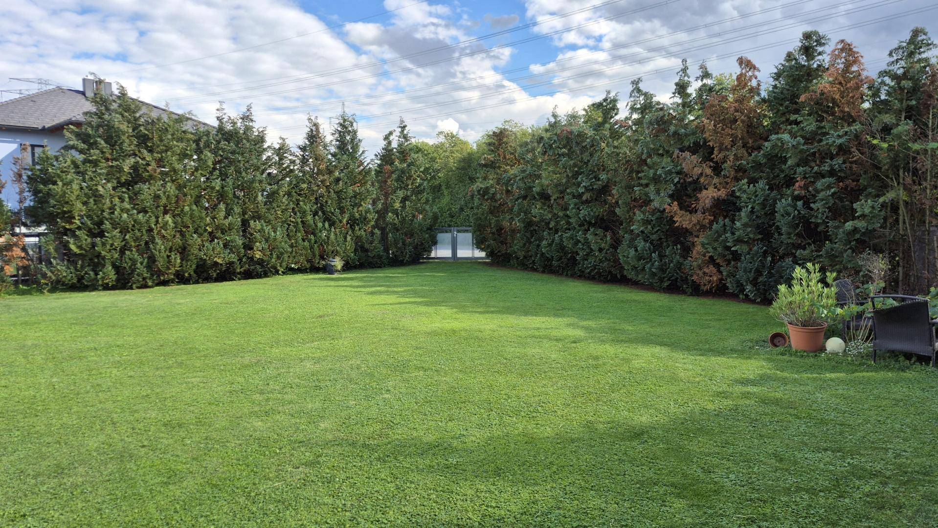 Großer, gepflegter Rasenbereich im Garten, umgeben von hohen Hecken.