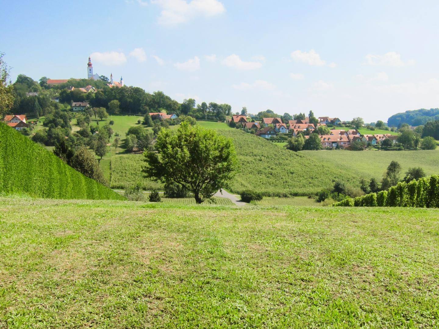 Panoramablick über eine weite grüne Landschaft mit Weinbergen und einem Dorf auf einem Hügel unter klarem Himmel.