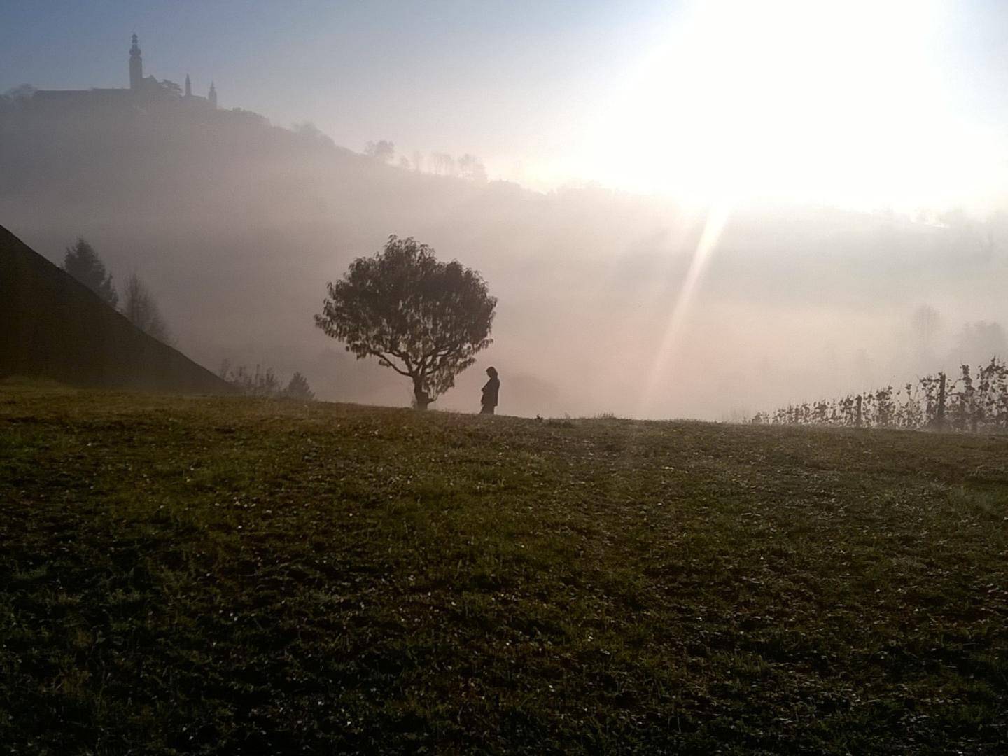 Morgendliche Nebelstimmung über einer hügeligen Landschaft mit einem einzelnen Baum und einer Person in der Ferne.