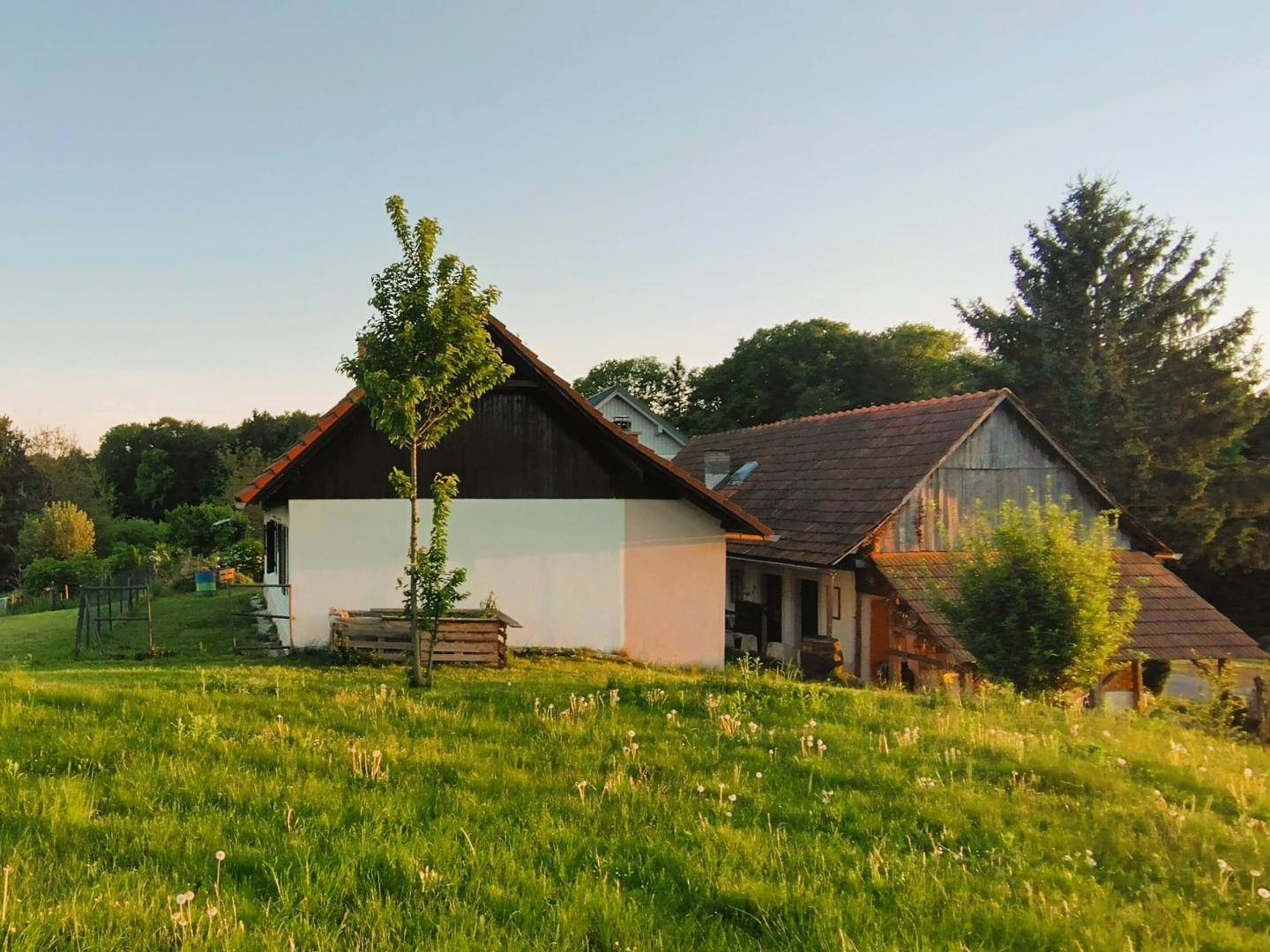 Charmantes Landhaus mit traditionellem Dach und grüner Wiese im Vordergrund, umgeben von Bäumen.