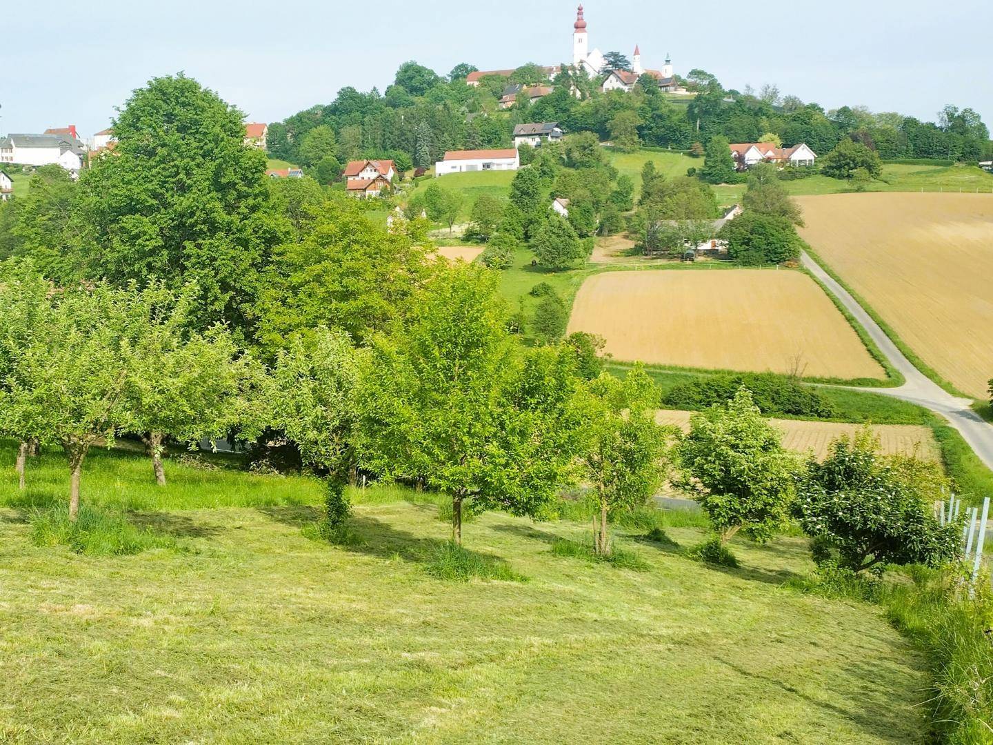 Idyllische Hügellandschaft mit grünen Wiesen, Feldern und einem malerischen Dorf mit Kirche in der Ferne.