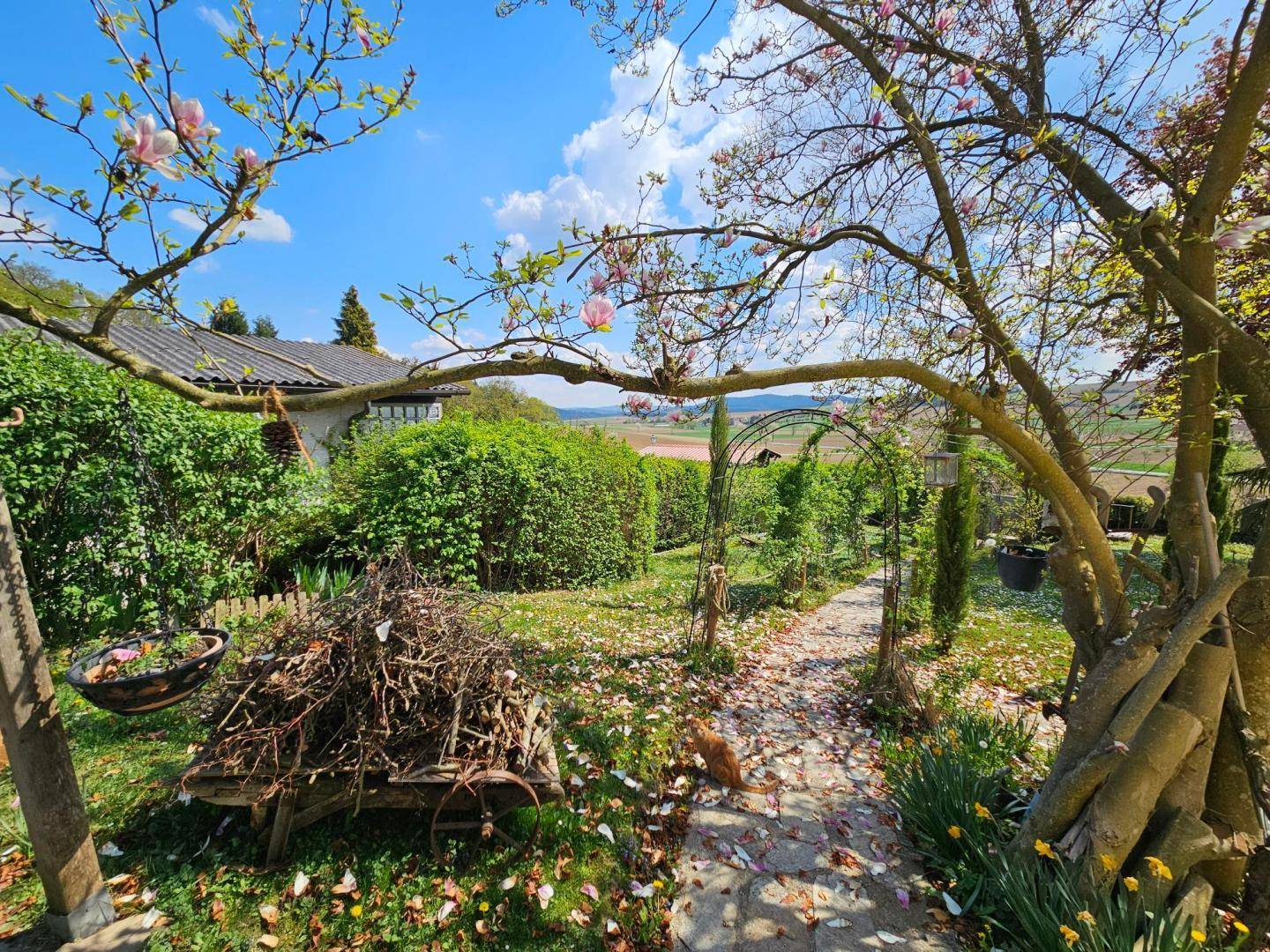 Malerischer Gartenweg mit blühenden Bäumen und Sträuchern, der in die Landschaft führt.