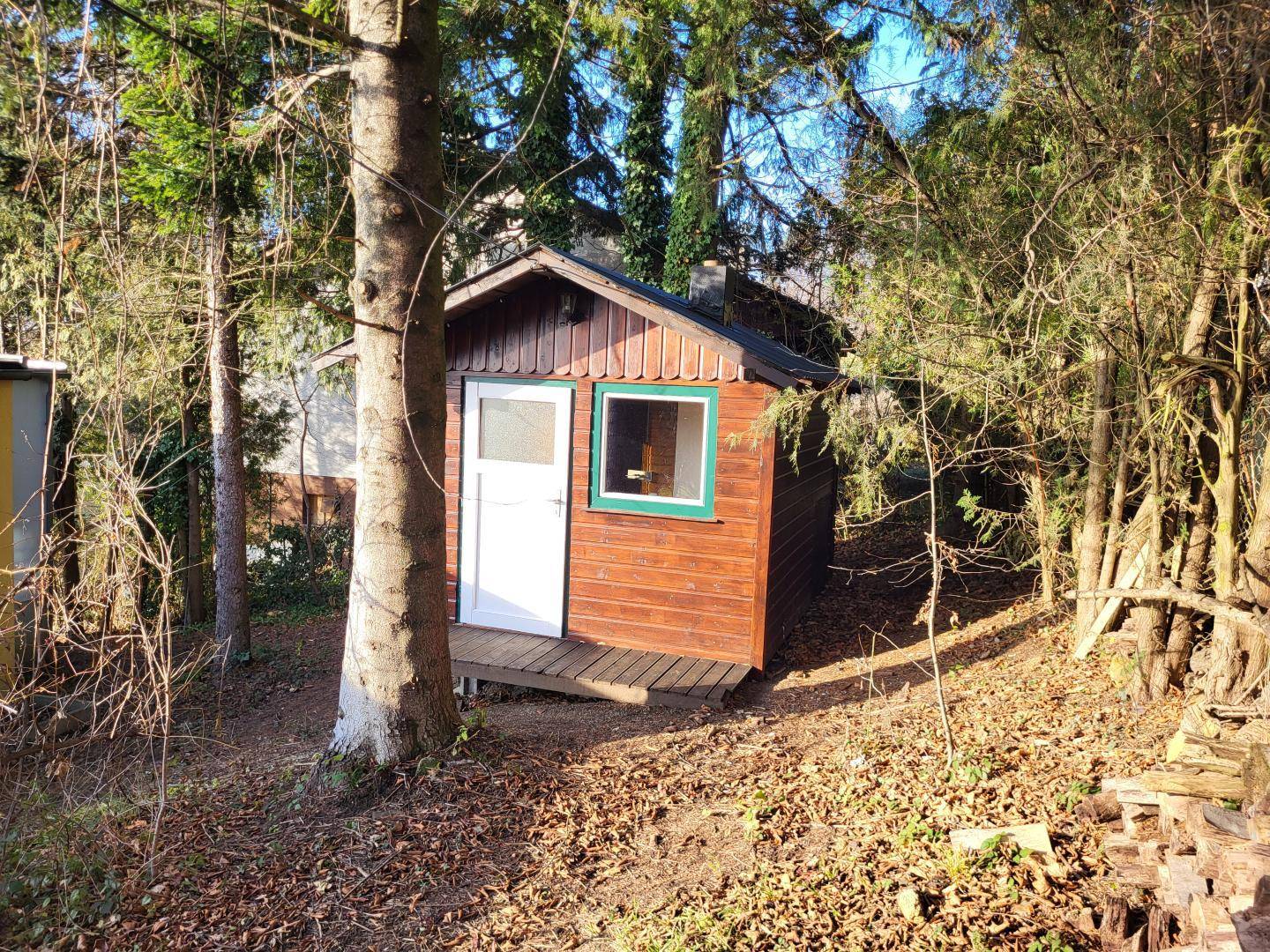 Rustikaler Holzschuppen im Garten, umgeben von Bäumen und Natur.