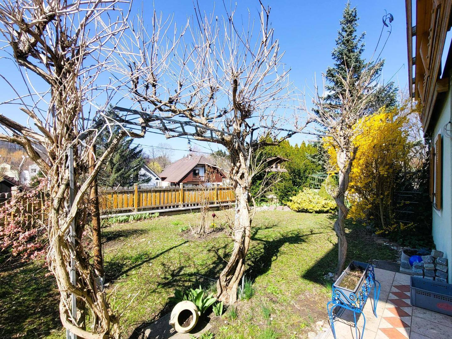 Weitläufiger Garten mit Rasenfläche, verschiedenen Bäumen und Sträuchern, ideal für Entspannung im Freien.