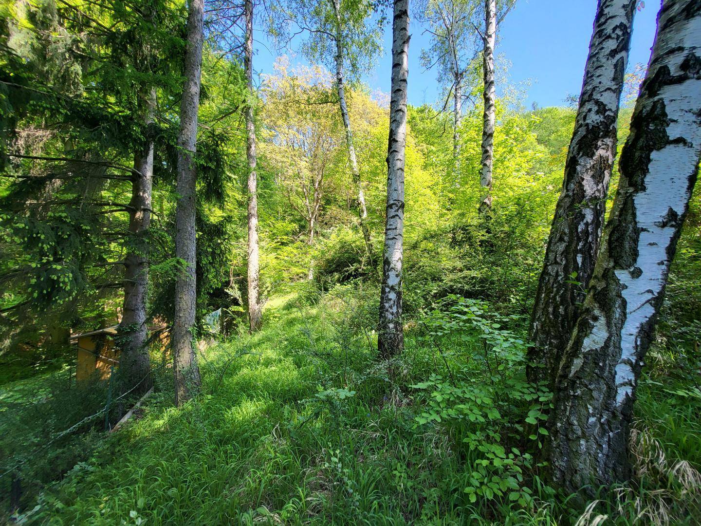 GABLITZ - AUFGESCHLOSSENER BAUGRUND IN RUHIGER WALDRANDLAGE - Widok 6