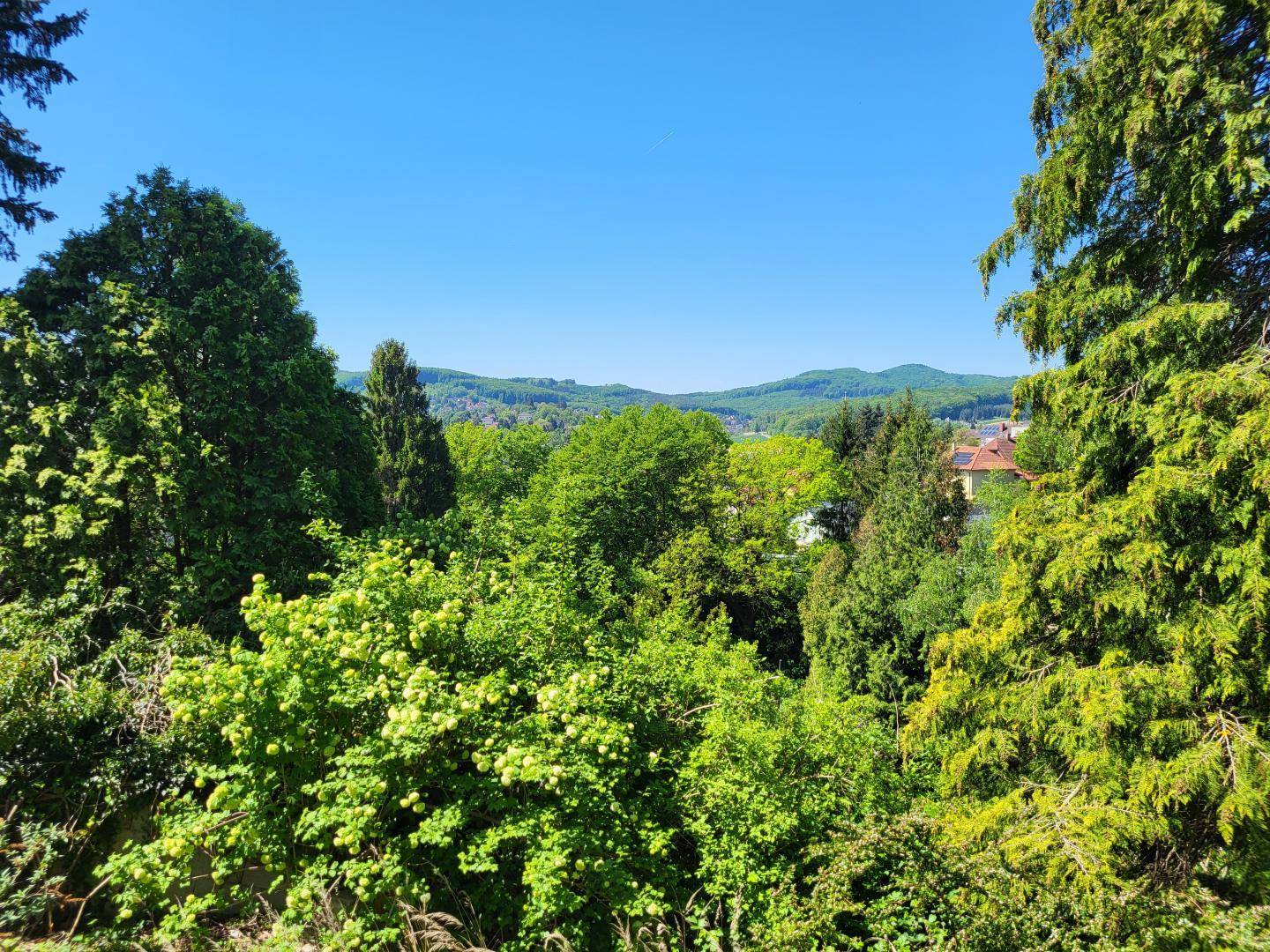Panoramablick über die grüne Hügellandschaft mit vereinzelten Häusern in der Ferne.