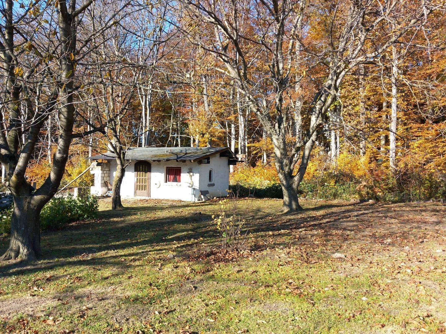 LANDHAUS MIT GROSSEM, SONNIGEN GRUND AM WALDRAND – pohled 6