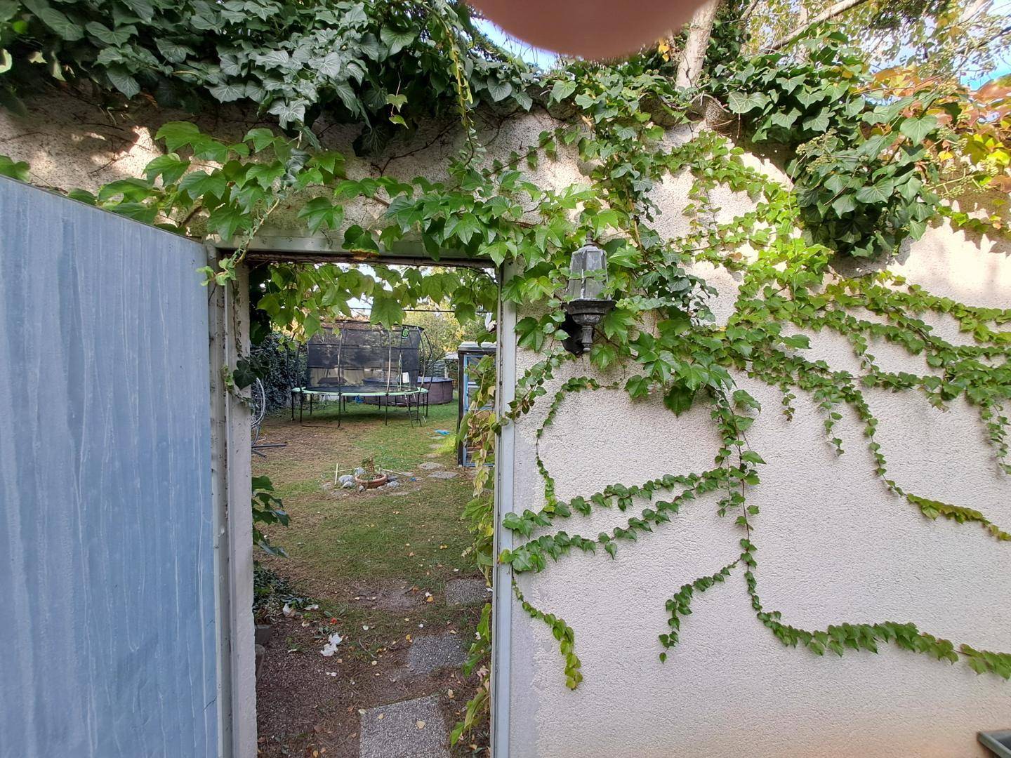 Blick durch ein offenes Tor in den grünen Garten, umgeben von einer mit Efeu bewachsenen Mauer.