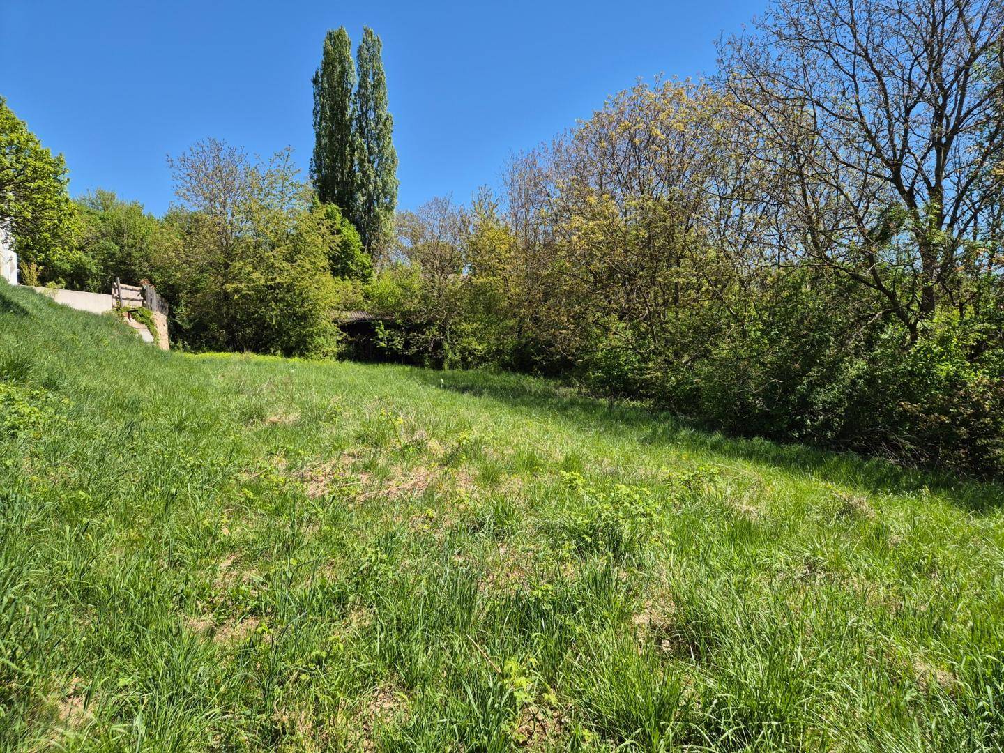 "NEUER PREIS!" BAUGRUND IN ABSOLUTER GRÜN-RUHELAGE - Ansicht 3