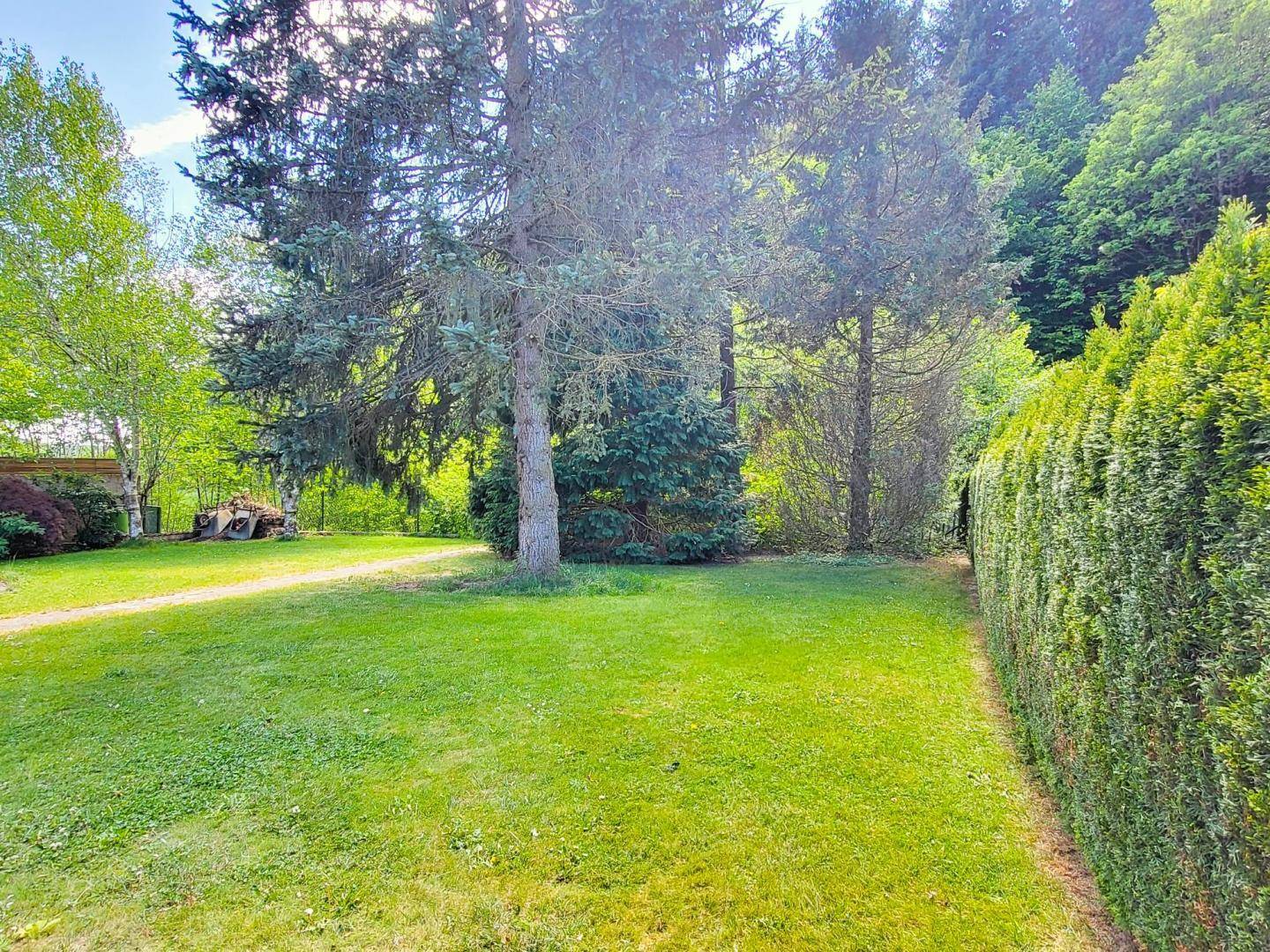 Großer, sonniger Garten mit Rasenfläche und altem Baumbestand, umgeben von Natur.