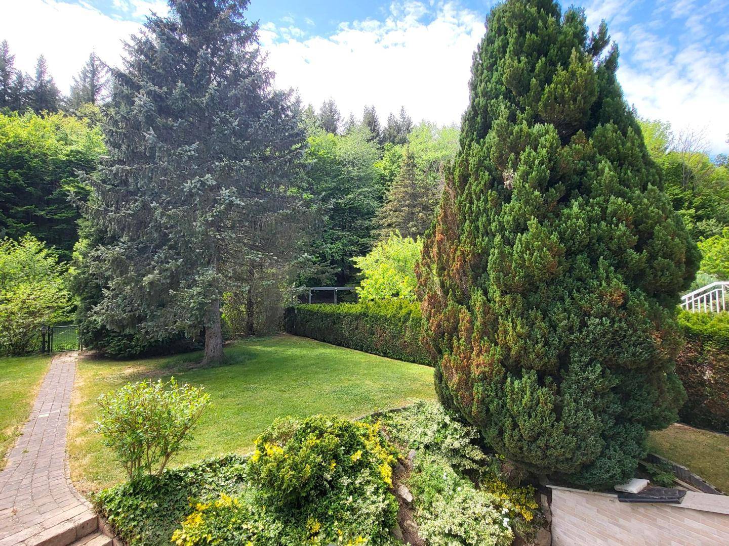 Weitläufiger Gartenbereich mit gepflegtem Rasen, hohen Bäumen und dichter Hecke.
